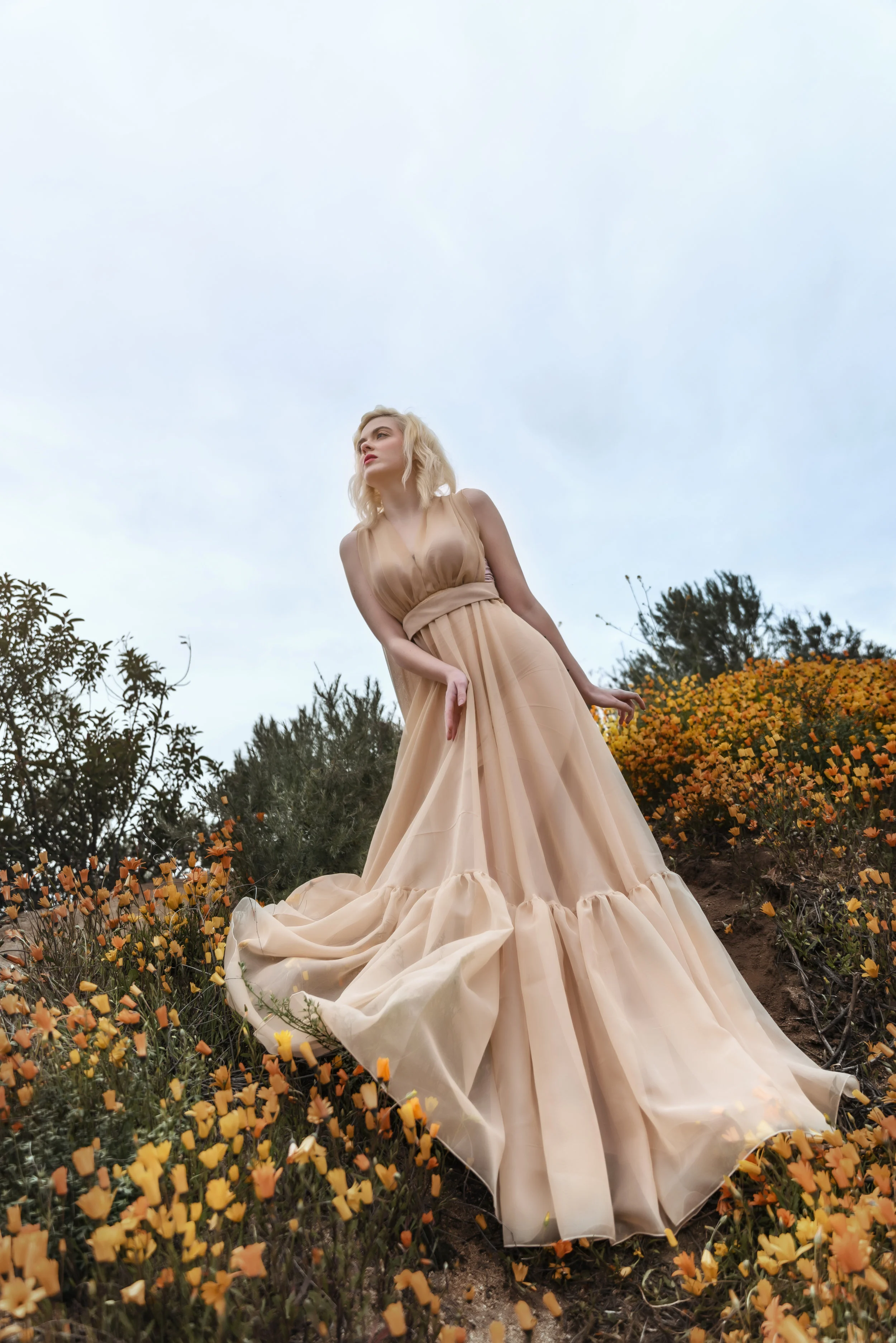 TrudyMoylanWildflower80.jpg
