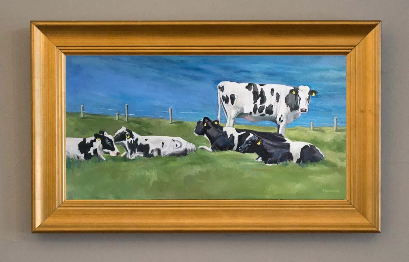 five dingle cows.jpg
