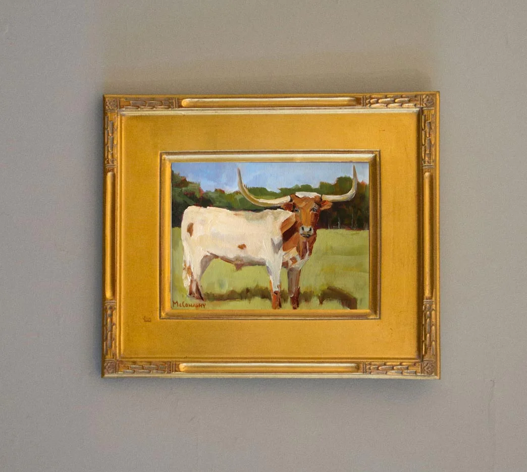Texas Long Horn