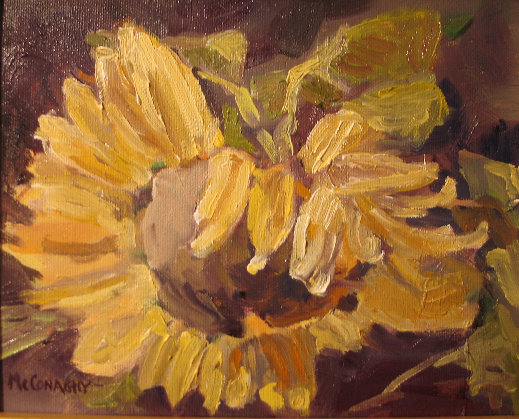 Sunflower 5