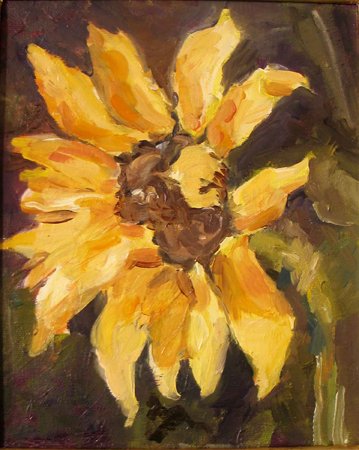Sunflower 7