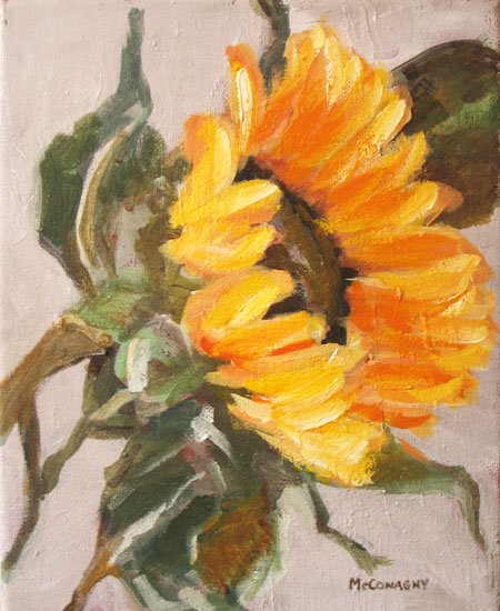 Sunflower 8