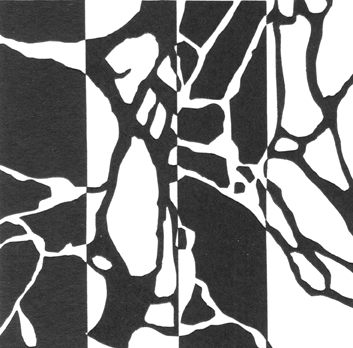 Exploration of Form