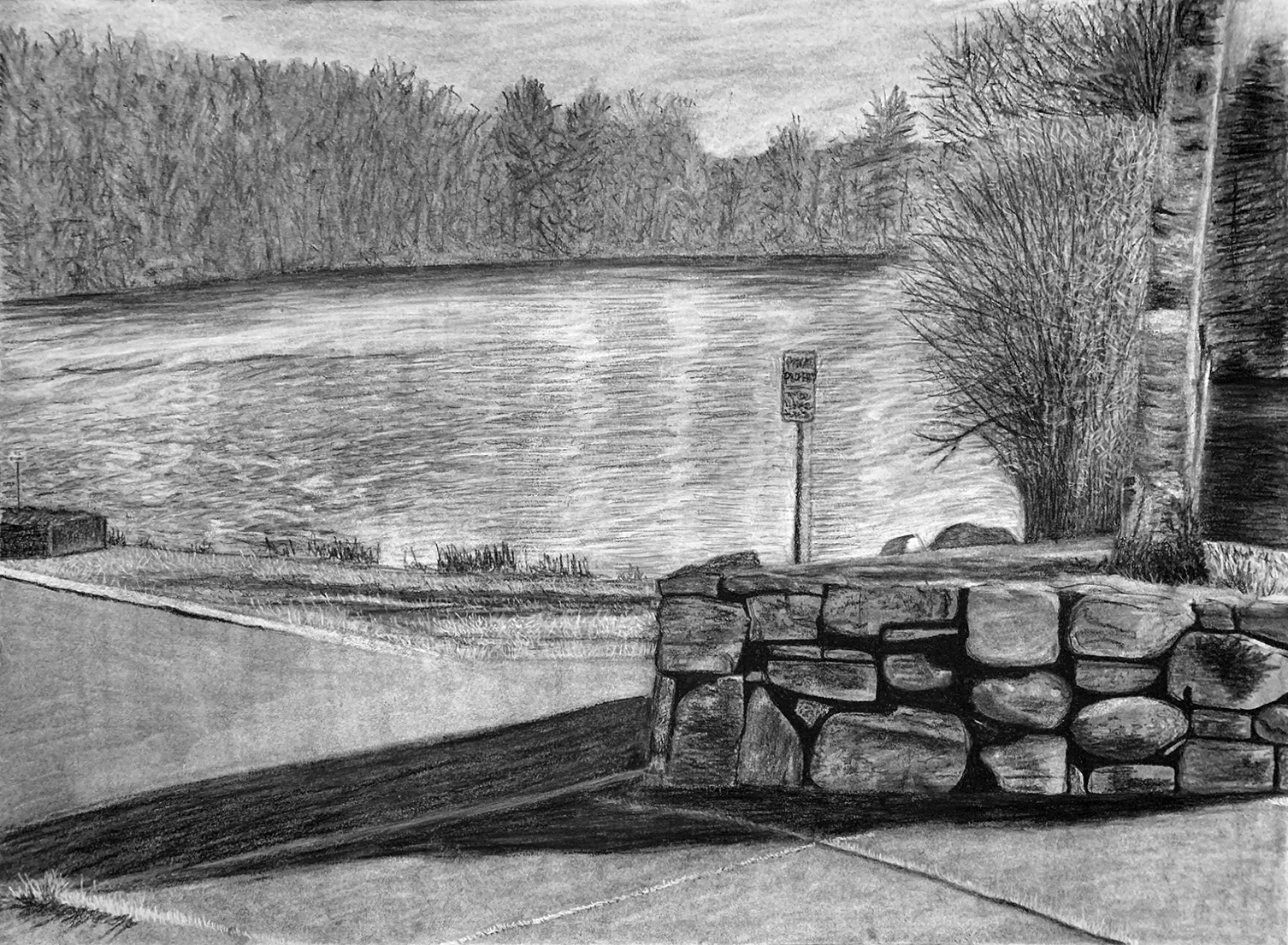 Landscape: Value and Texture