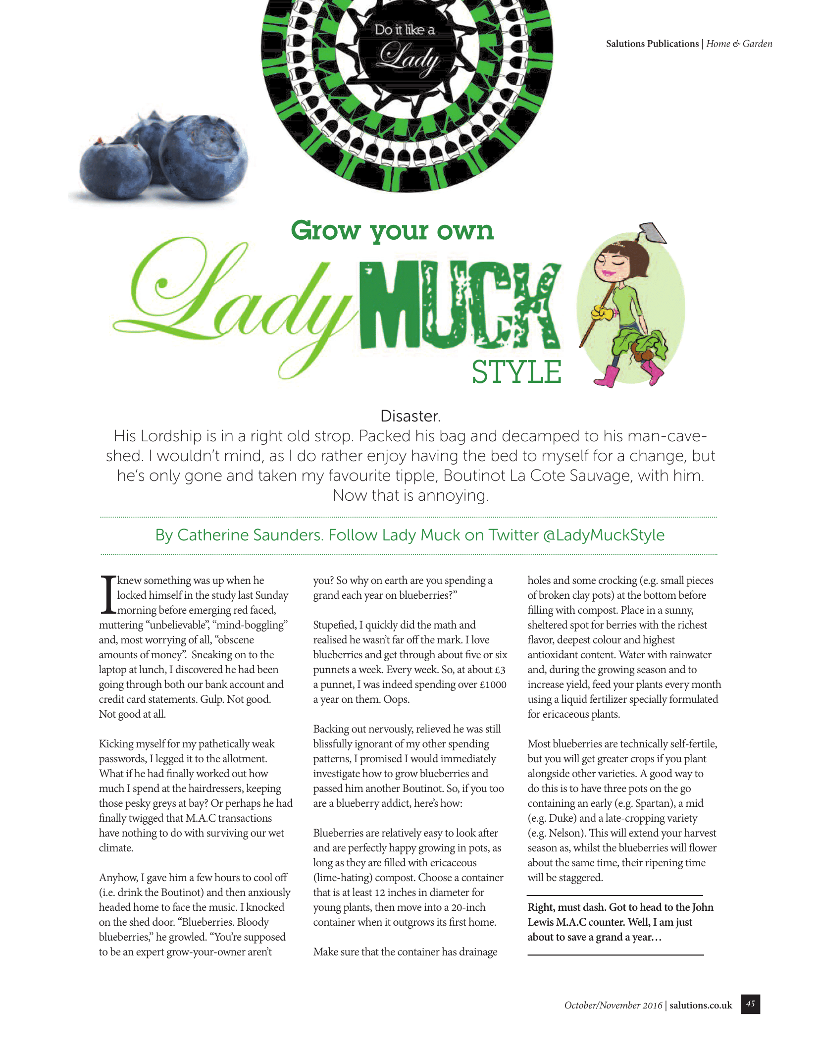 Blueberry Bankruptcy (C).png