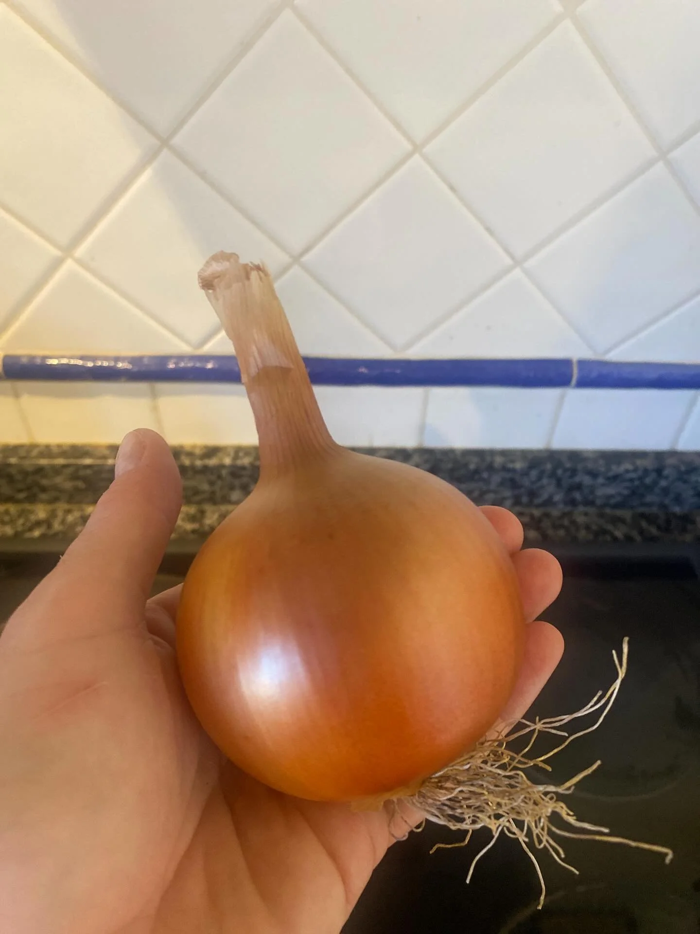 It’s fair to say the kitchen isn’t exactly my natural habitat π I’m definitely happier growing it than cooking it! Luckily, Lord Muck is a whizz in the kitchen — especially when it comes to home-grown goodies π½π₯¬π₯
π§
 Tonig