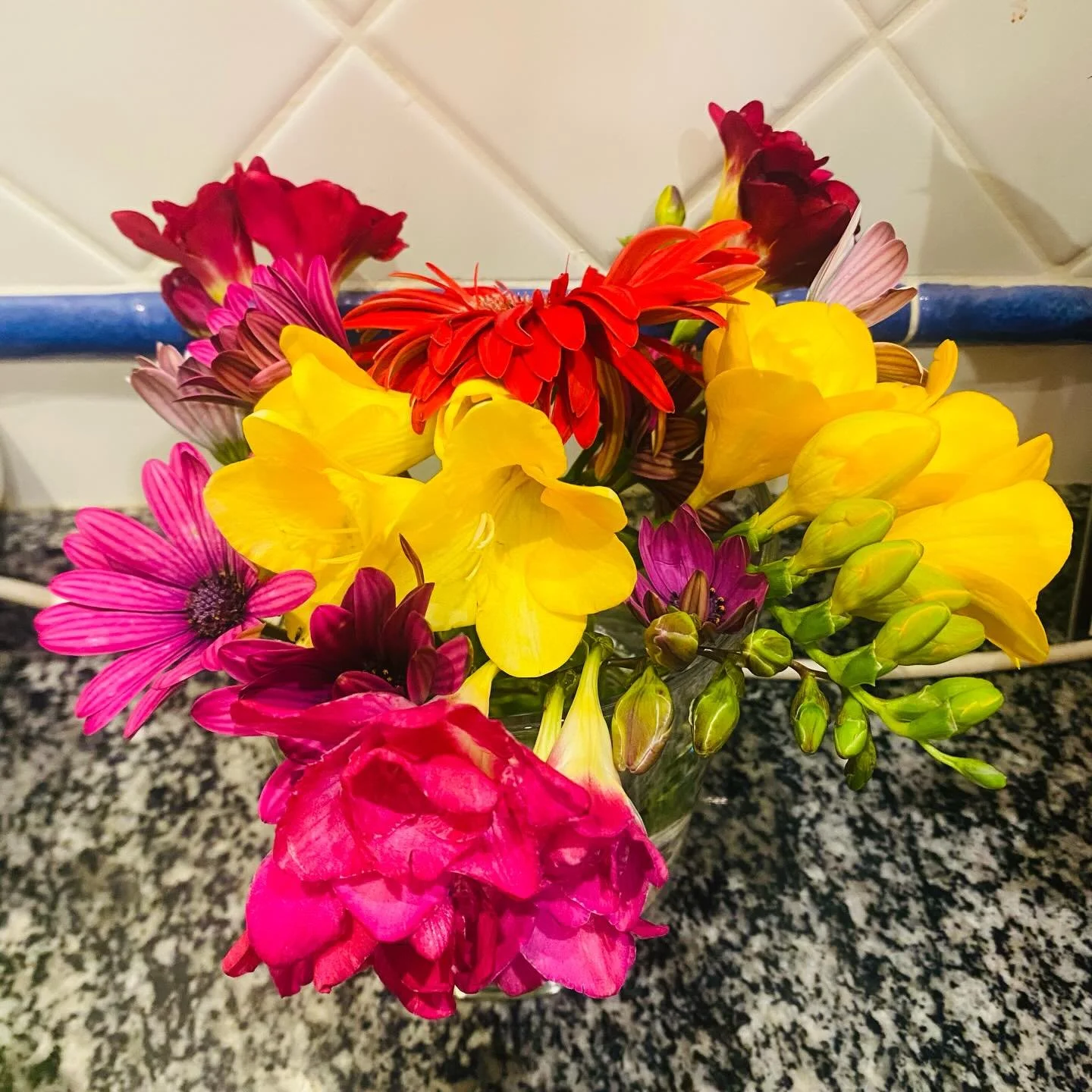 When a dear friend gives you flowers from her garden&hellip; for no reason&hellip; just to make me smile 😊 

#feelinggrateful❤️