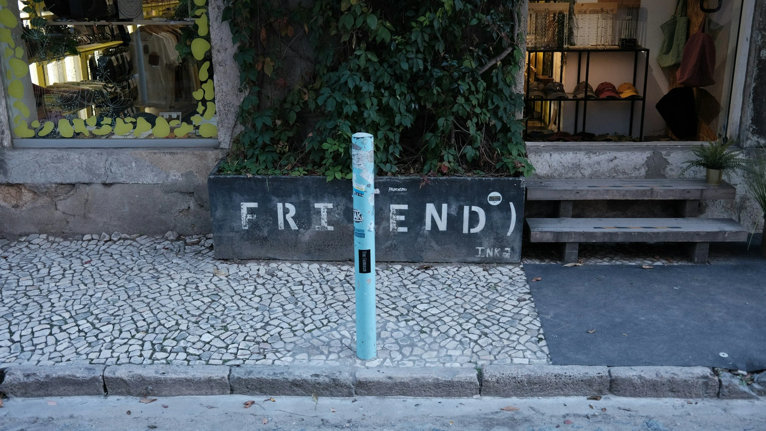 🌵 Cactus or Orchid? 🌸