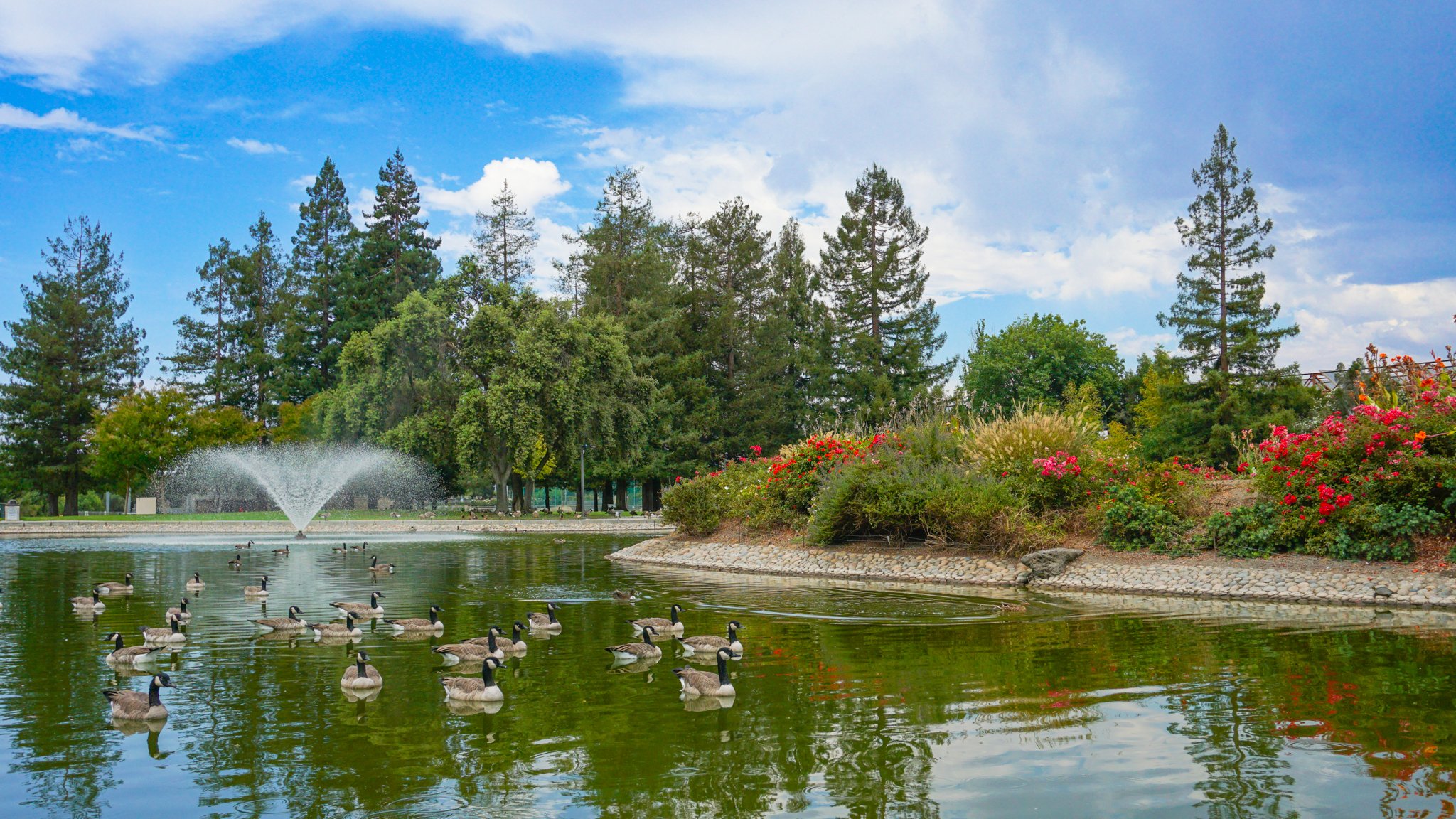   Parks and Recreation Director   City of Santa Clara, California   Learn More  