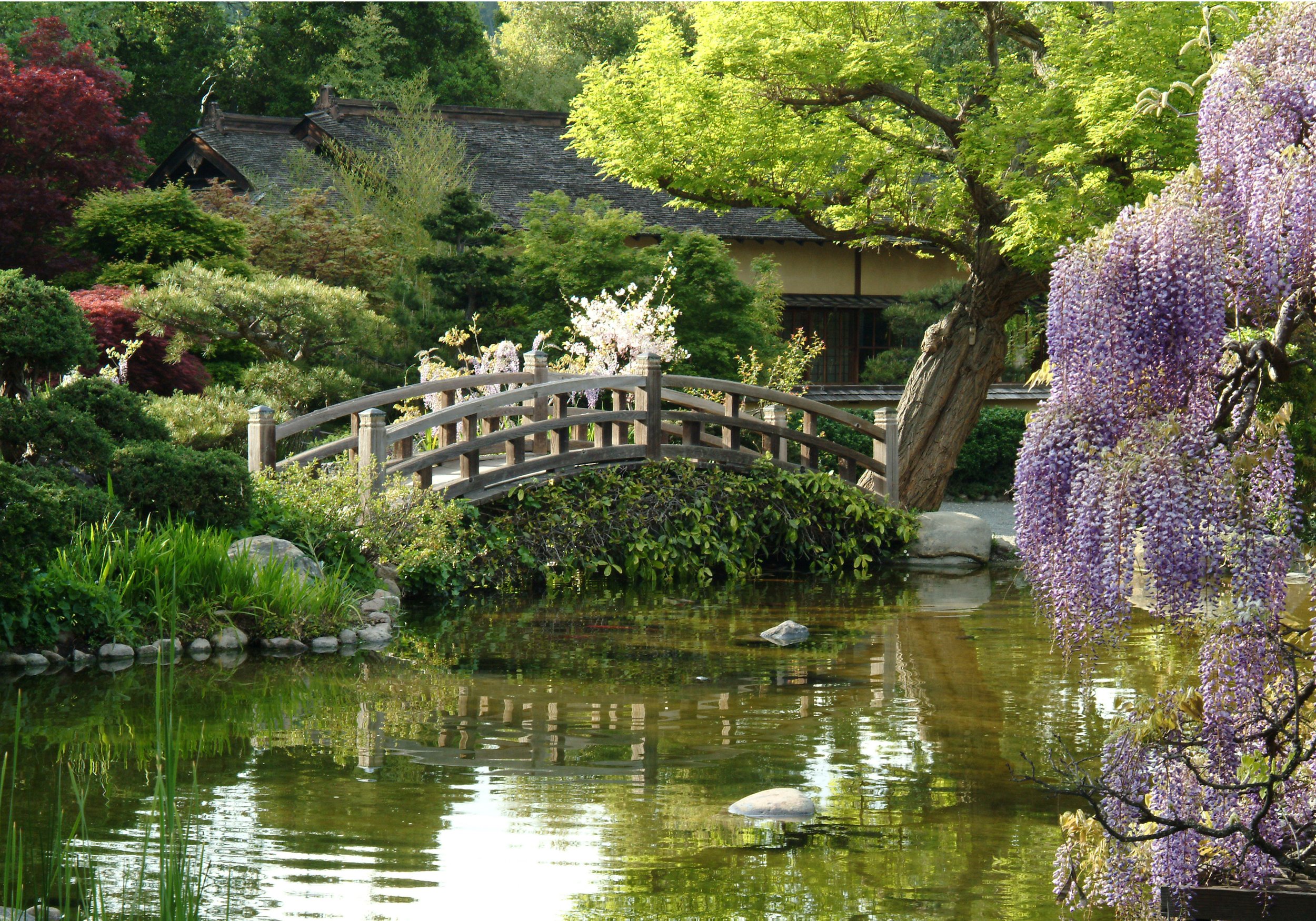   City Manager    City of Saratoga, California   LEARN MORE  