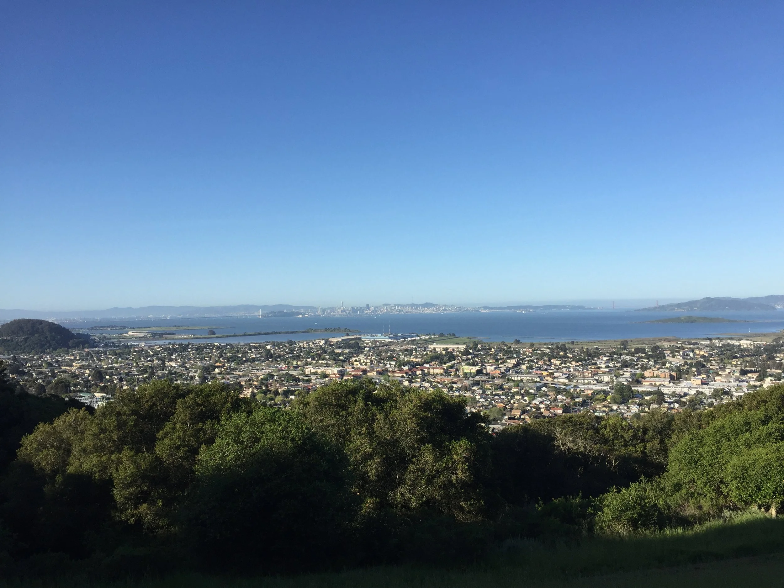   Community Development Director    El Cerrito, California   LEARN MORE  