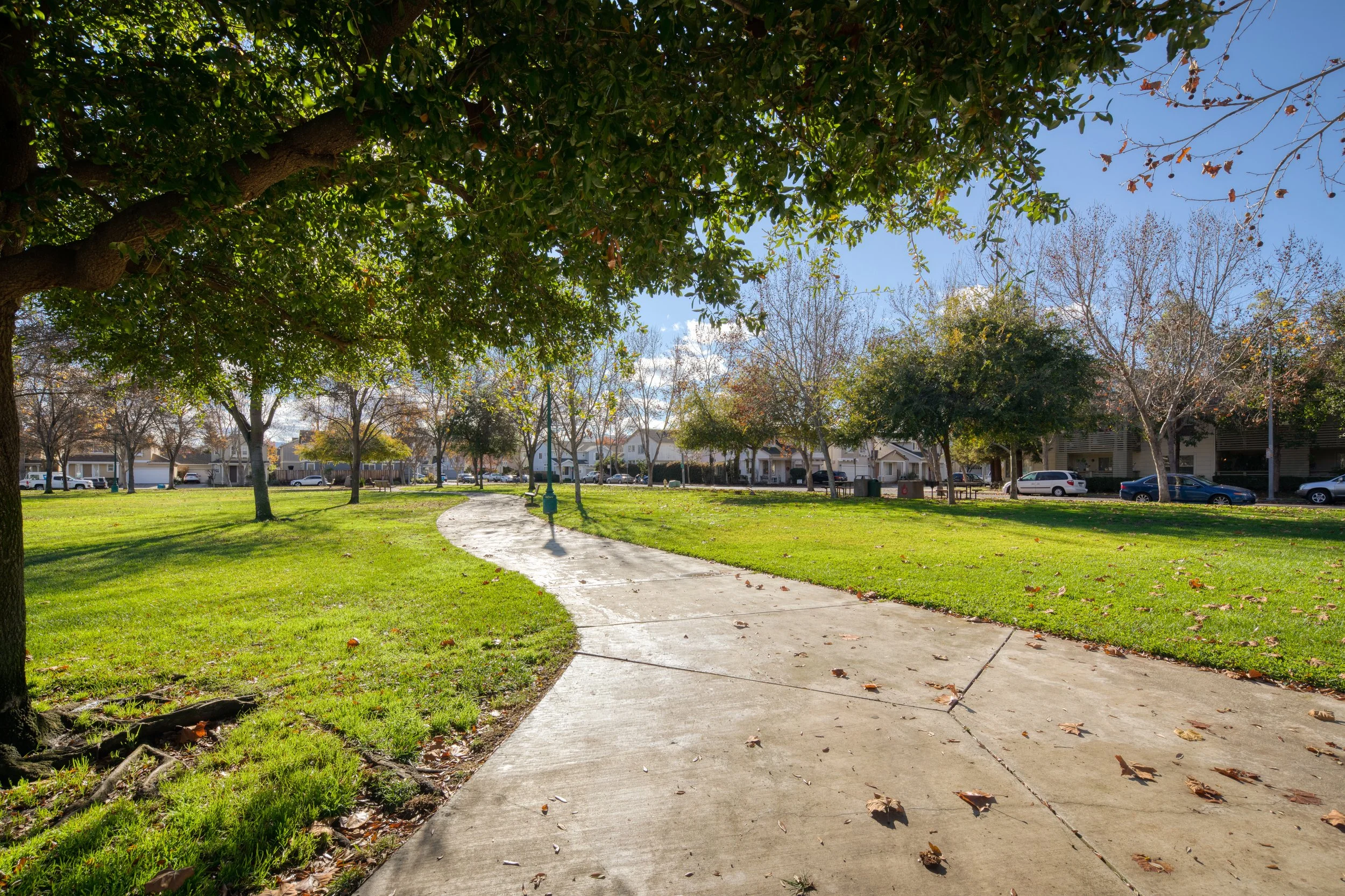  Deputy City Attorney I / II   East Palo Alto, California   LEARN MORE  