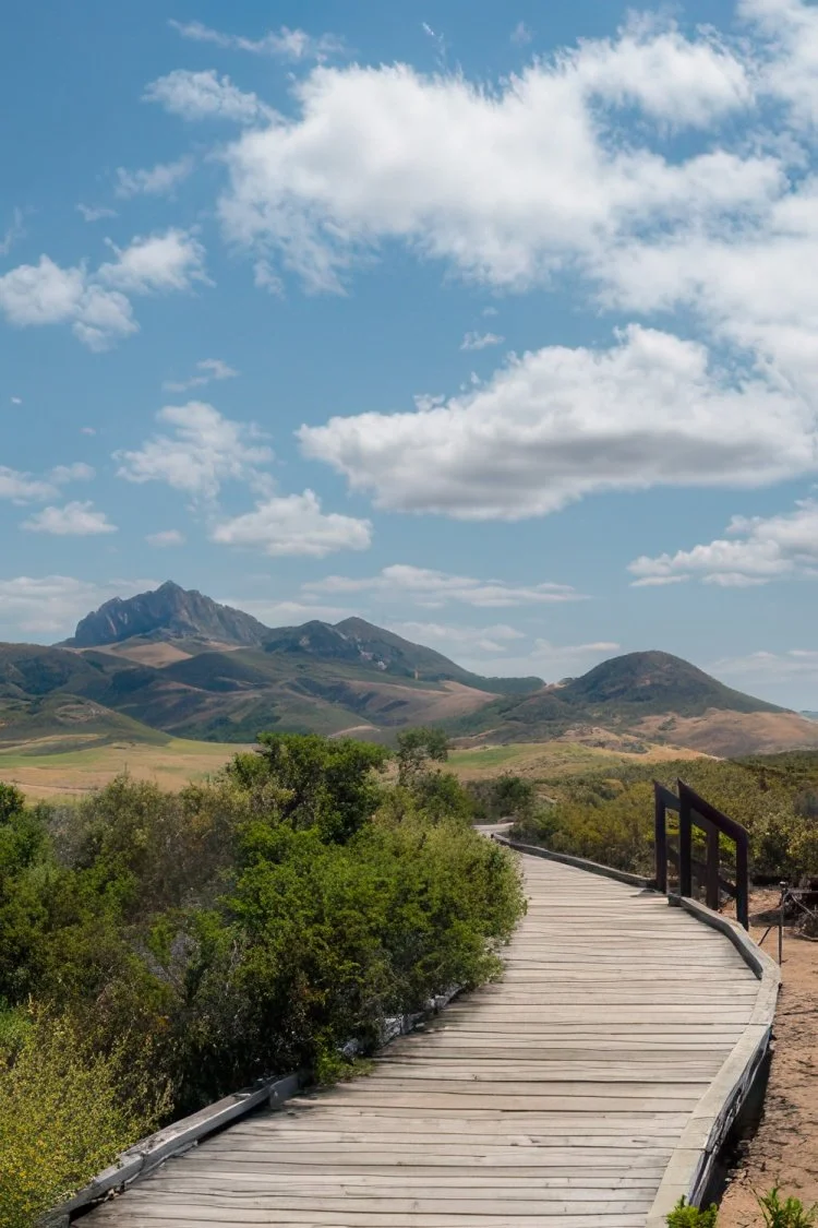   Director of Parks &amp; Recreation   San Luis Obispo County, California   LEARN MORE  