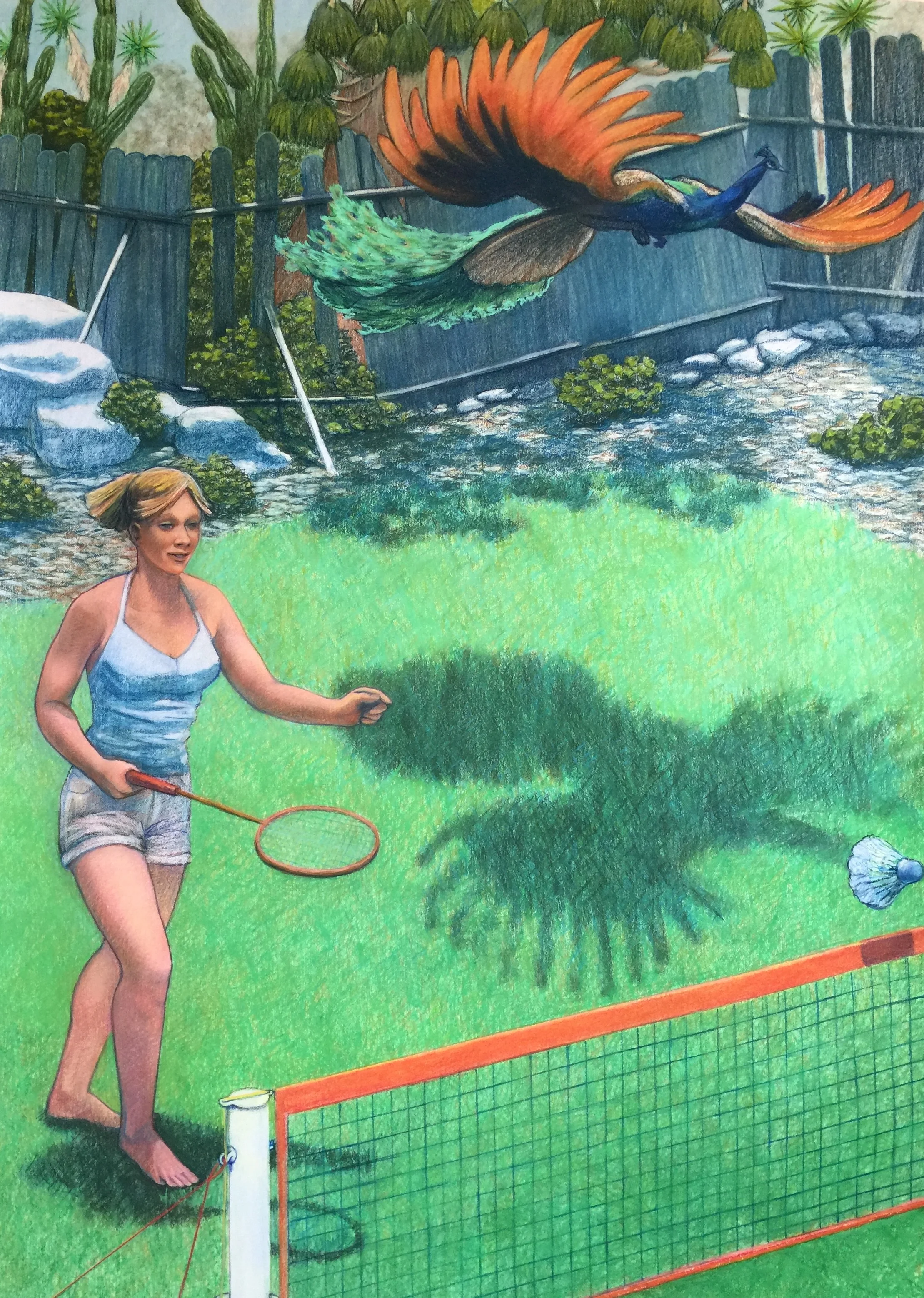 Peacock / Shuttlecock