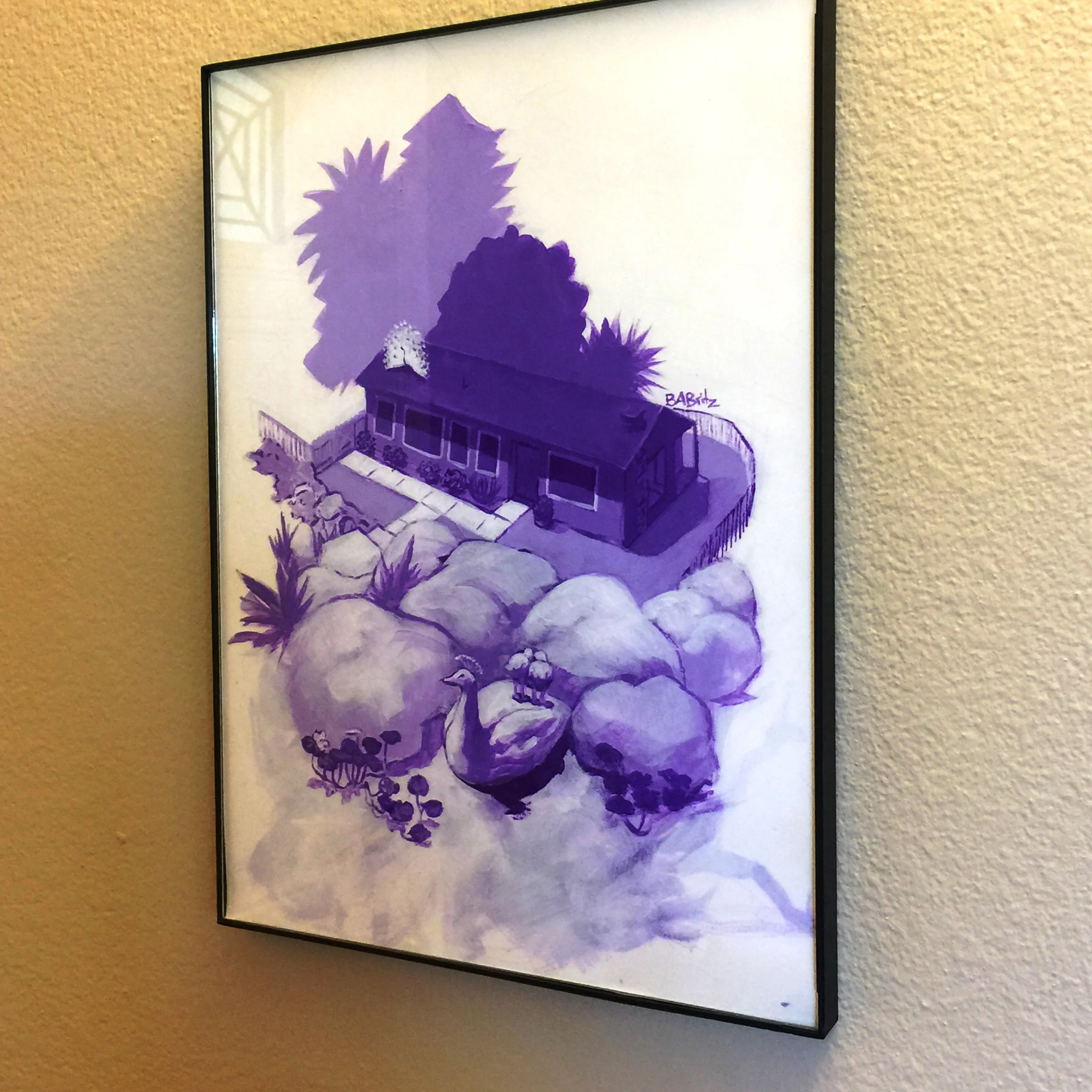 listing framed oblique.JPG