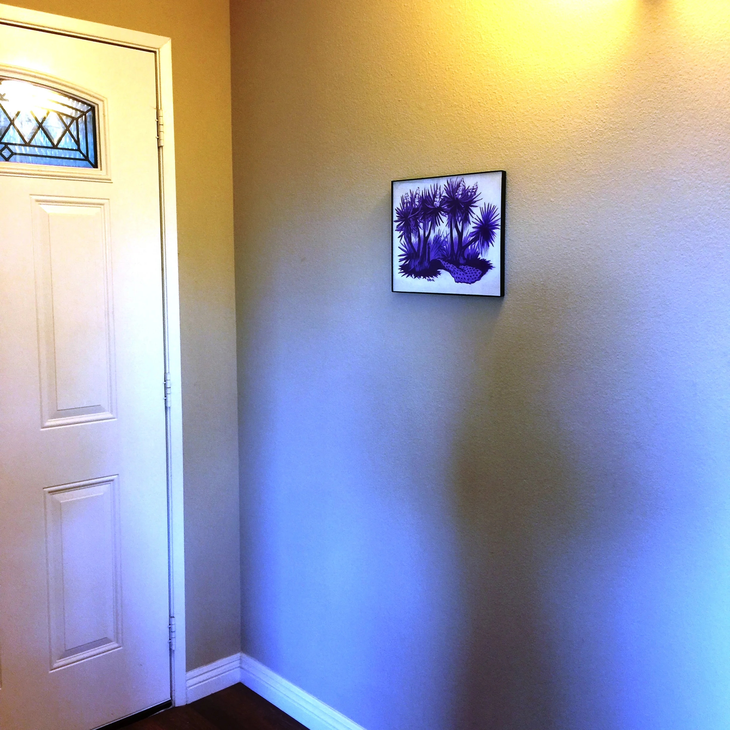 Yucca Tree Shade afar.JPG