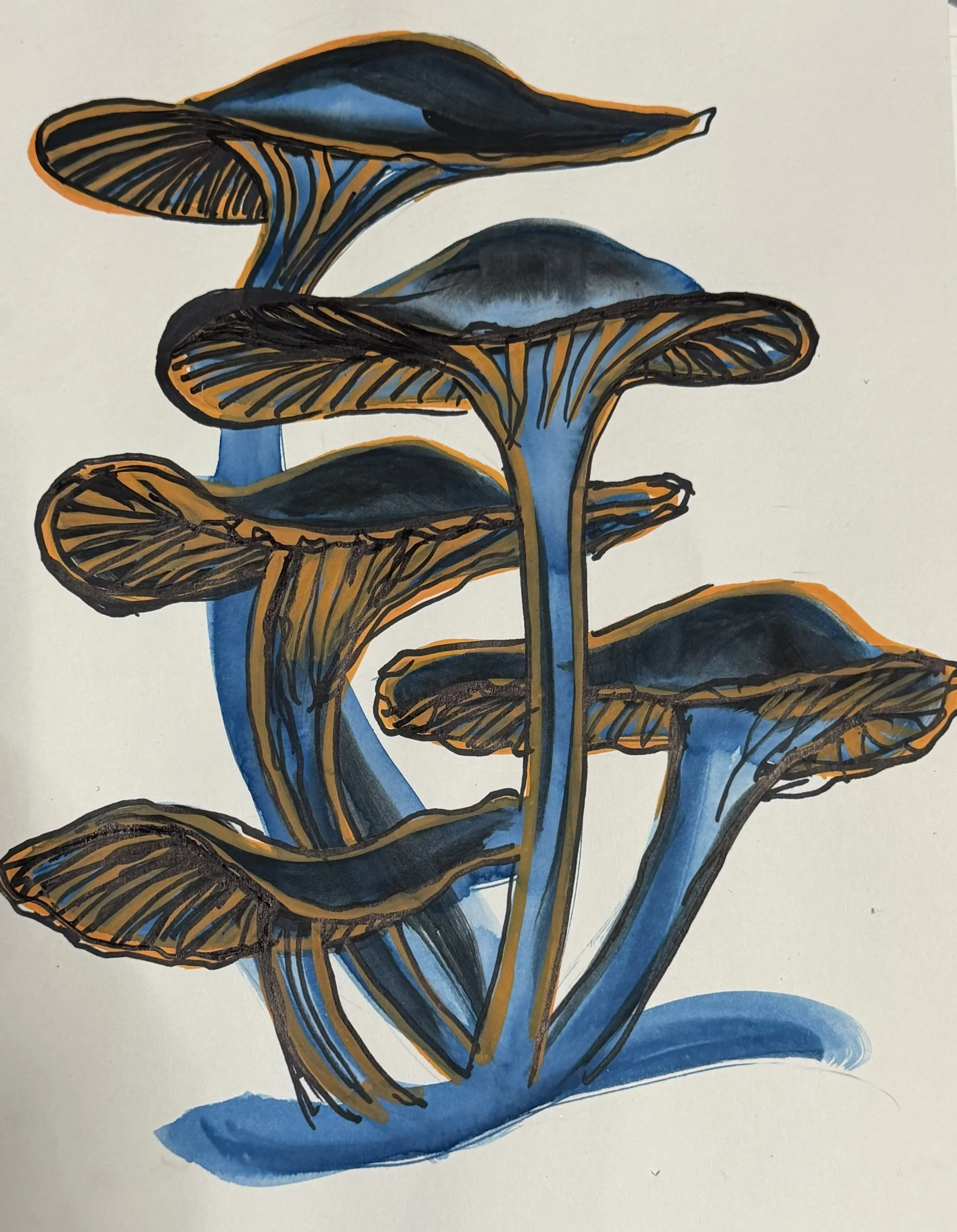 Blue Mushroom