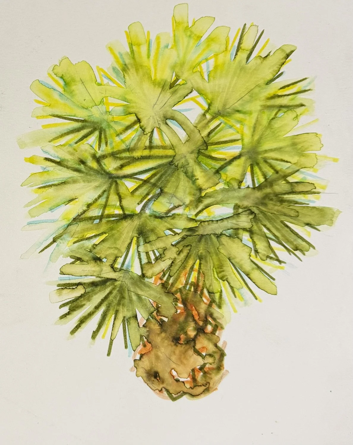 Watercolor Palm