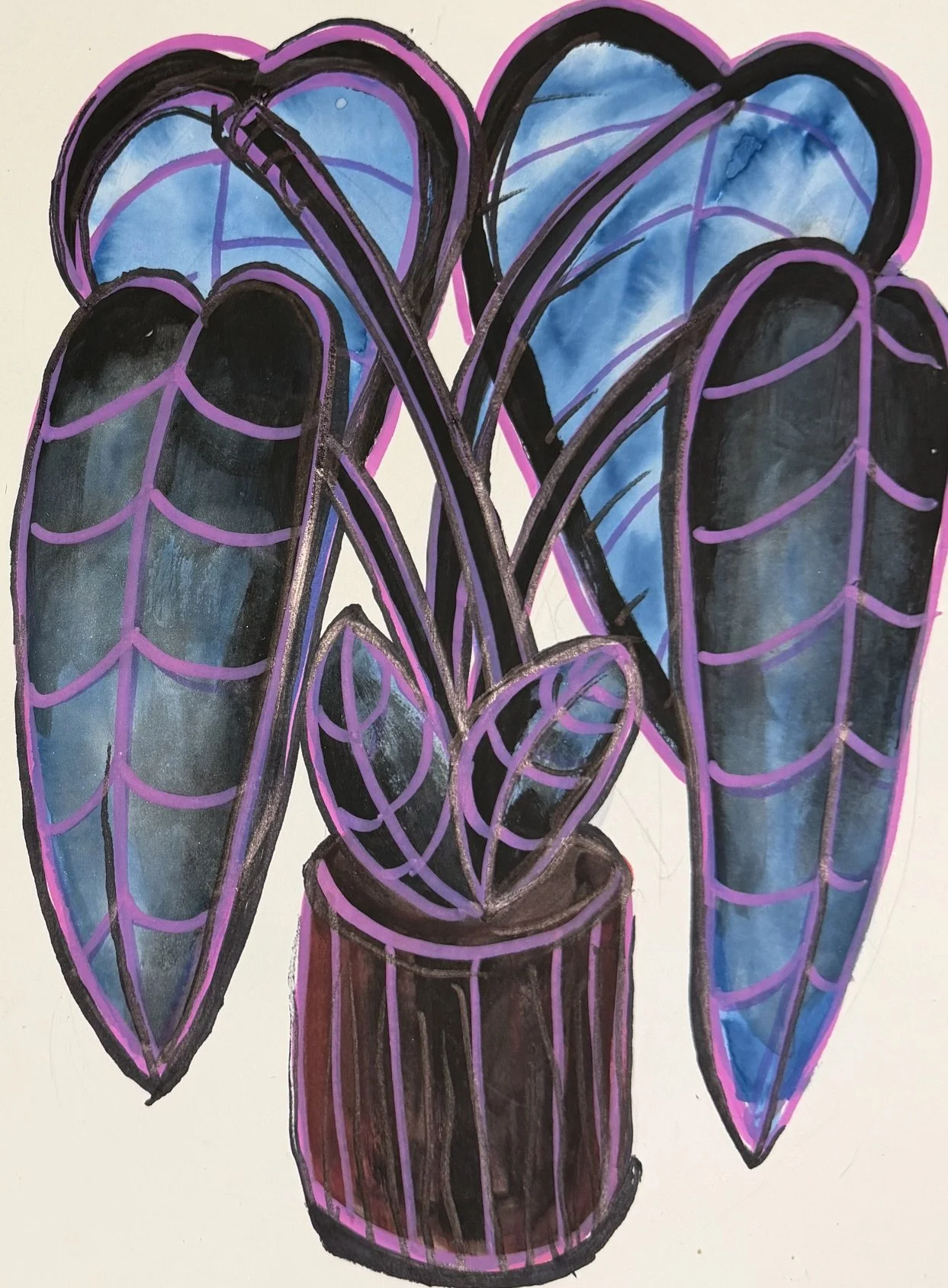 Blue Plant
