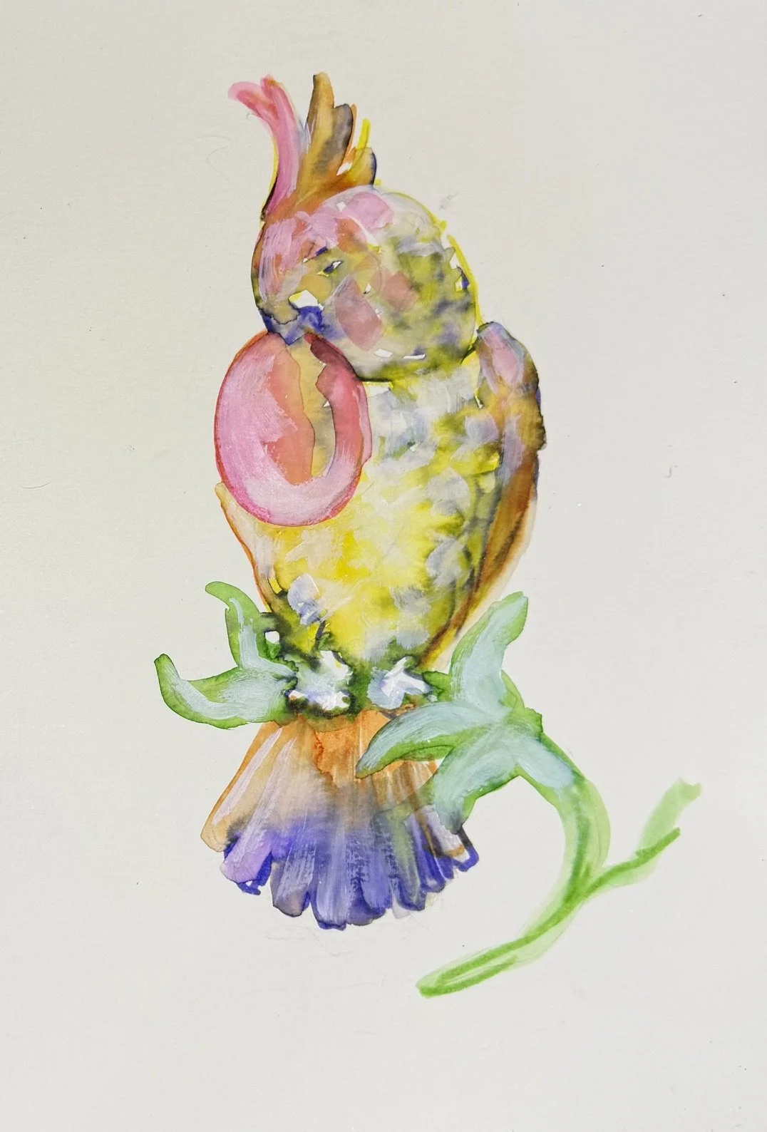 Watercolor Parrot