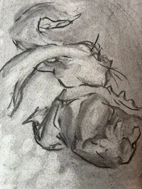 Draw and Blend