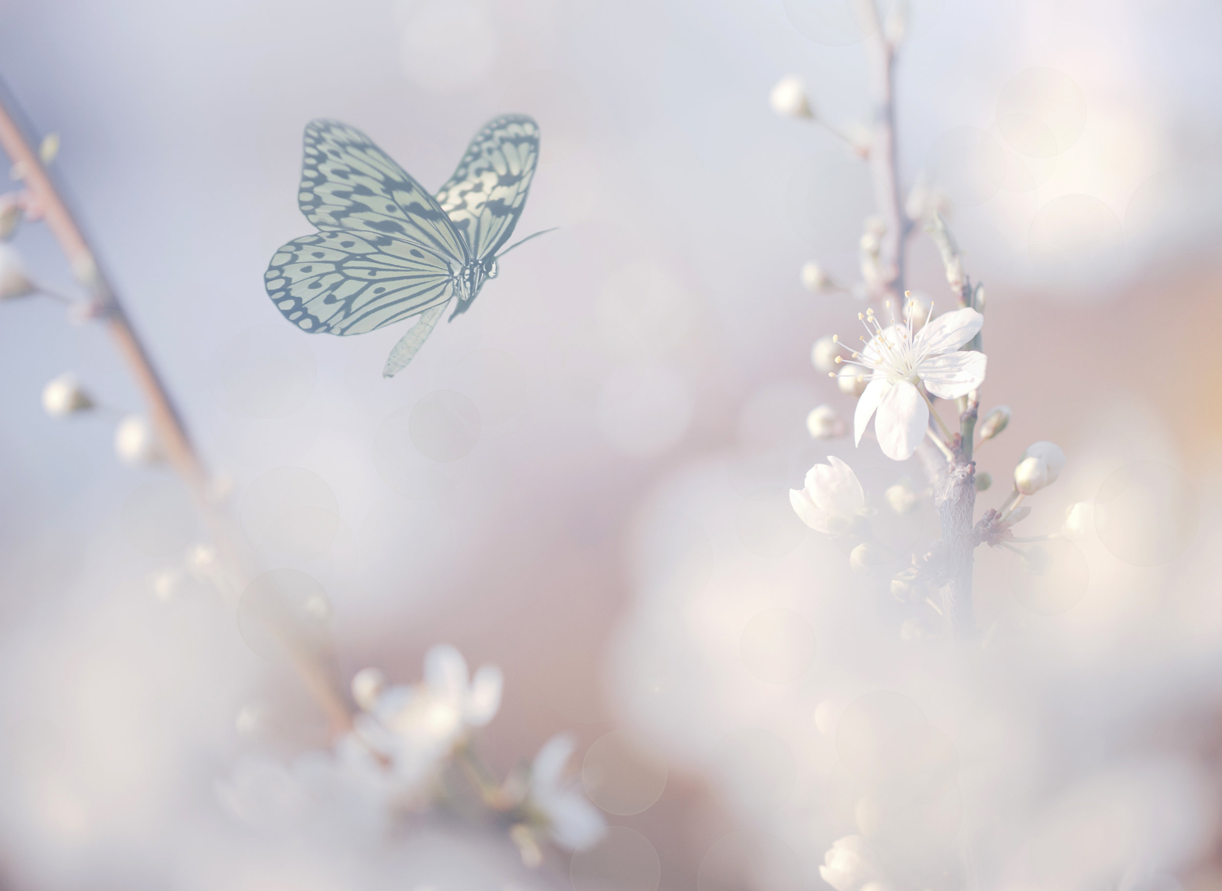 AdobeStock_80573778.jpeg