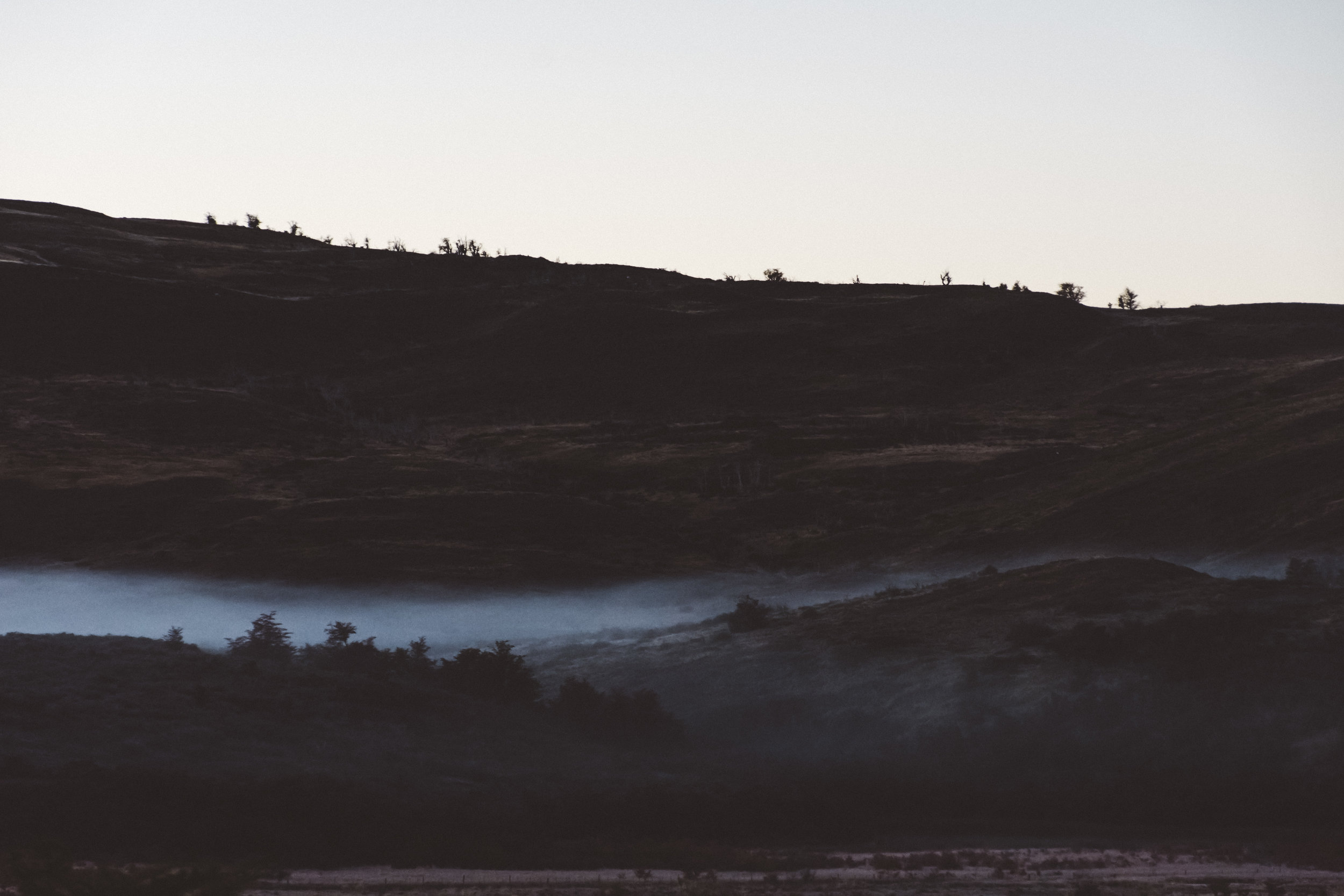 Early morning fog