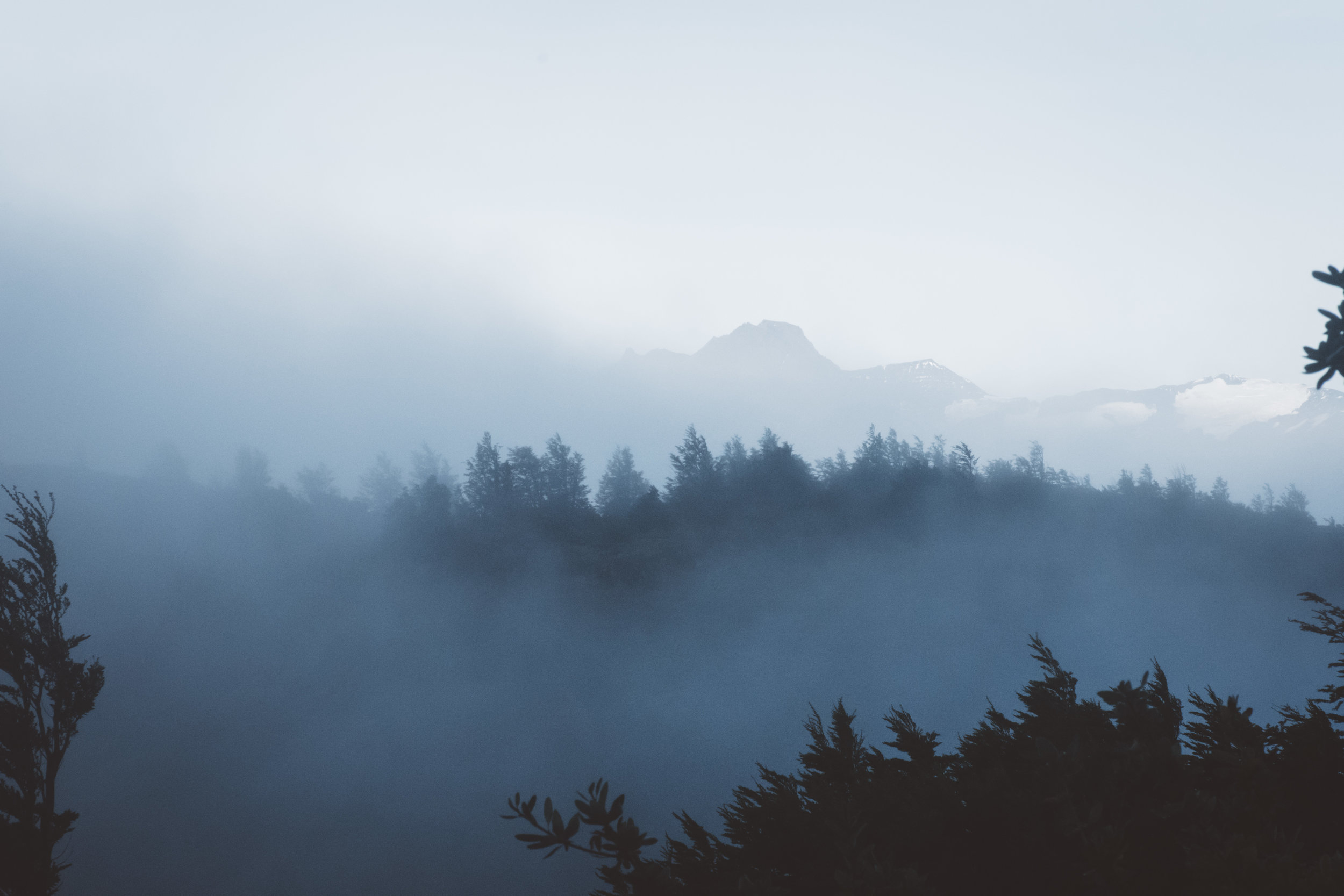 Morning fog
