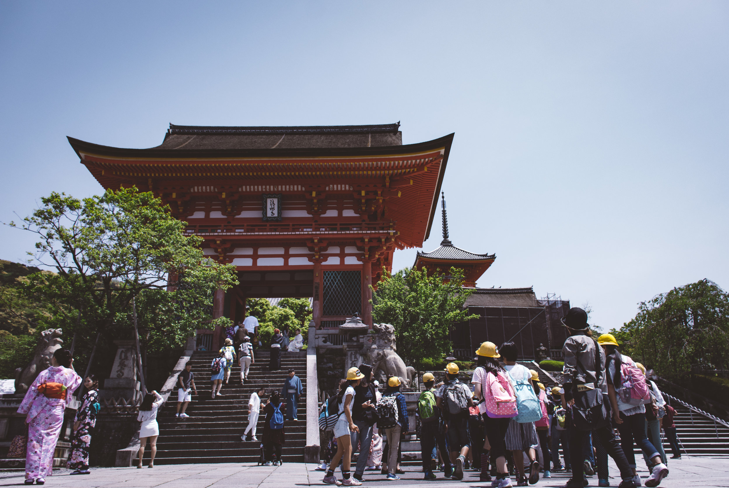 kyoto_forest_day_31.jpg