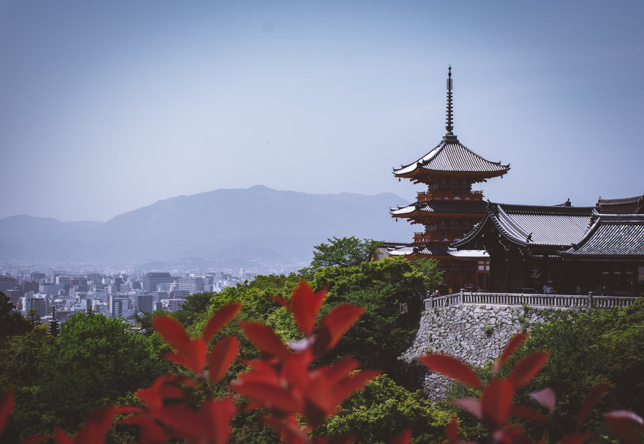 kyoto_forest_day_24.jpg
