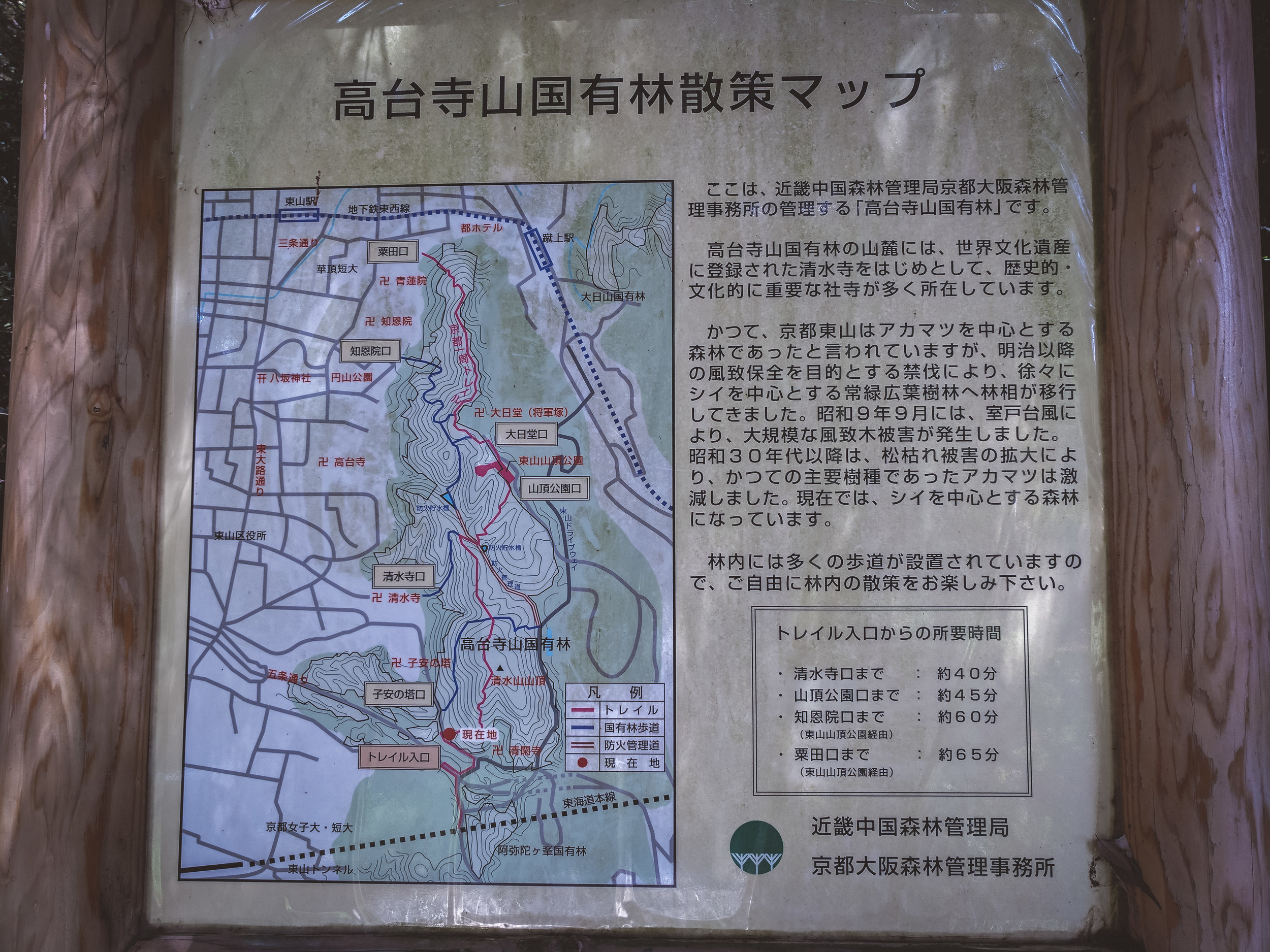 kyoto_forest_day_37.jpg