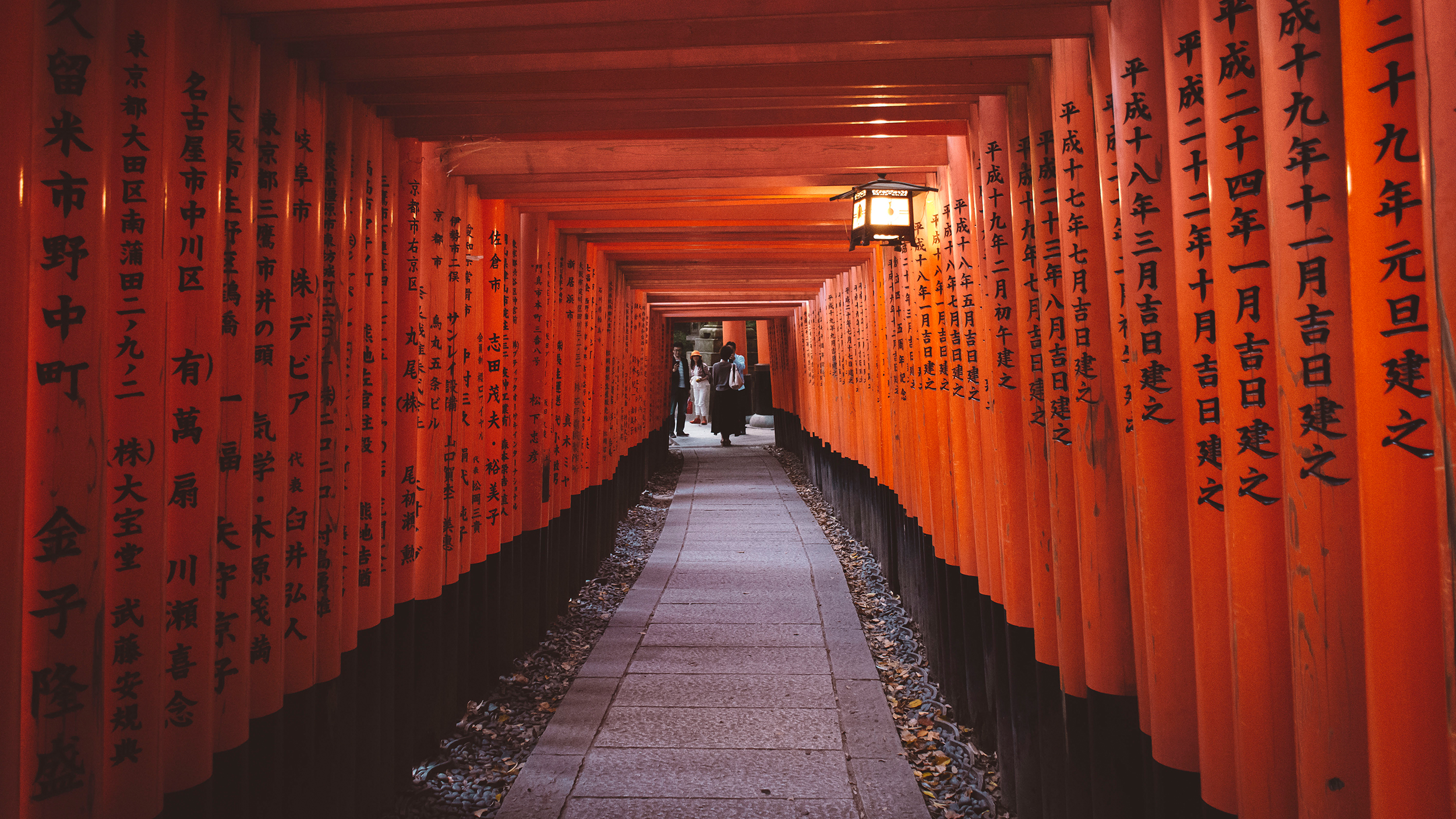 Fushimi Inari. Kyoto. View from behind and on the descent.