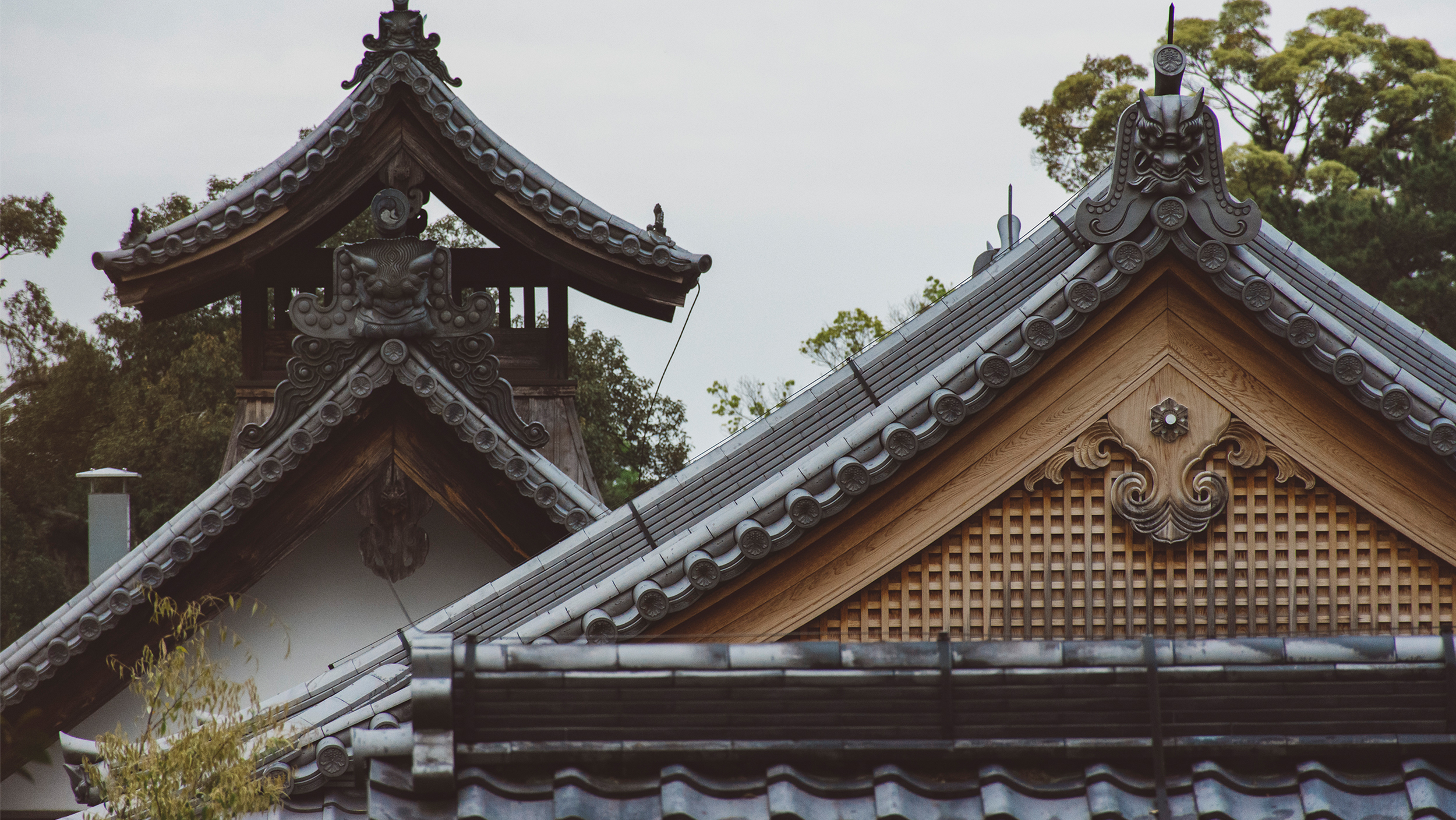 Kinkaku-ji. Kyoto.