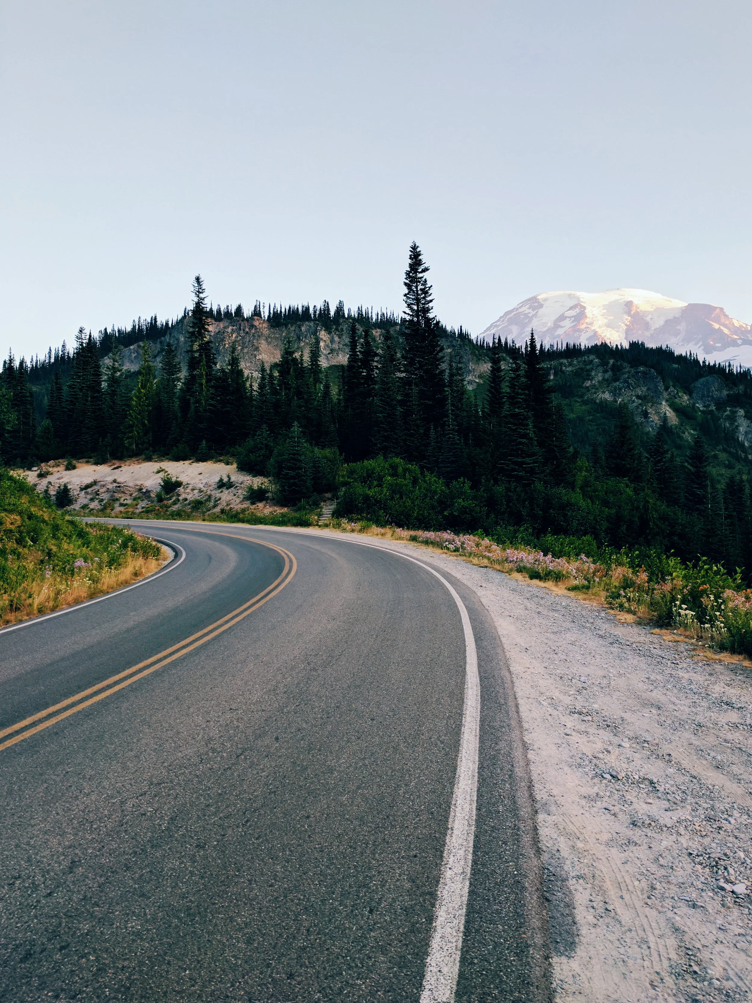 Road to Mt. Rainier
