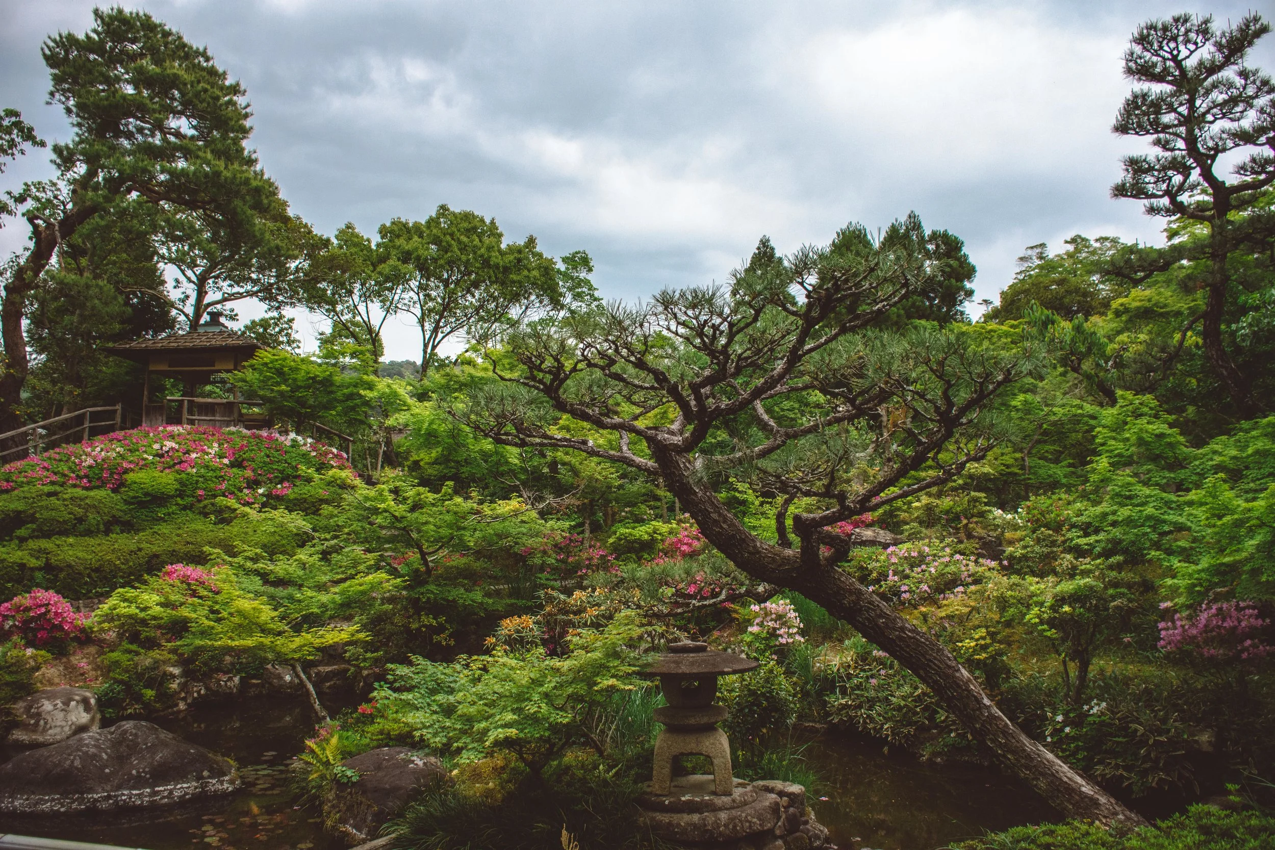 japan-alicia-fowler-8643.jpg