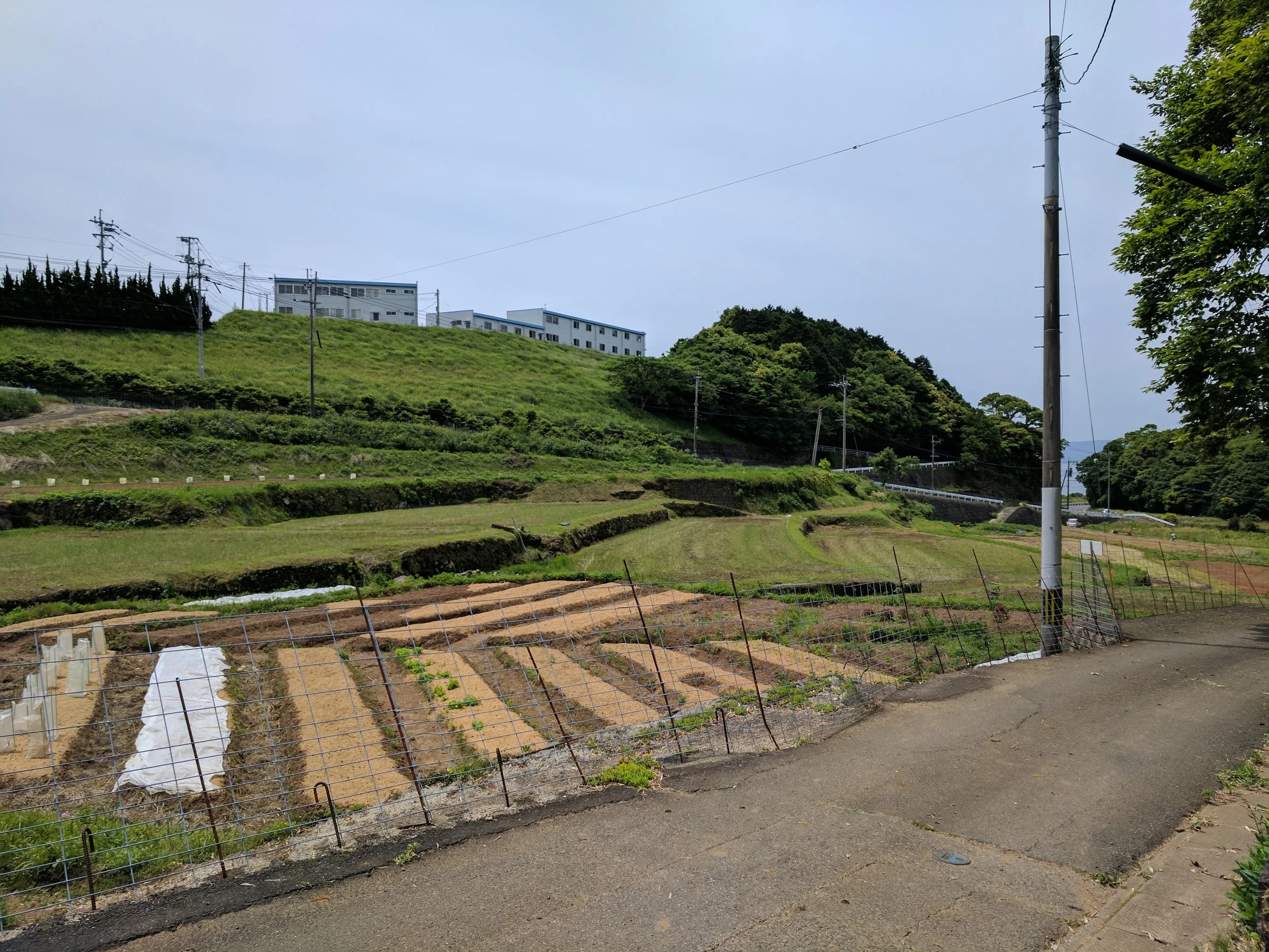 WWOOF farm outside Nagasaki. I stayed here with Yuki on Airbnb because it was on the way to the airport, but Yuki runs a real farm and takes longer term volunteers!