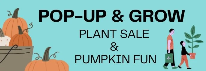 Image 8-29-25 at 12.15 PM.jpeg