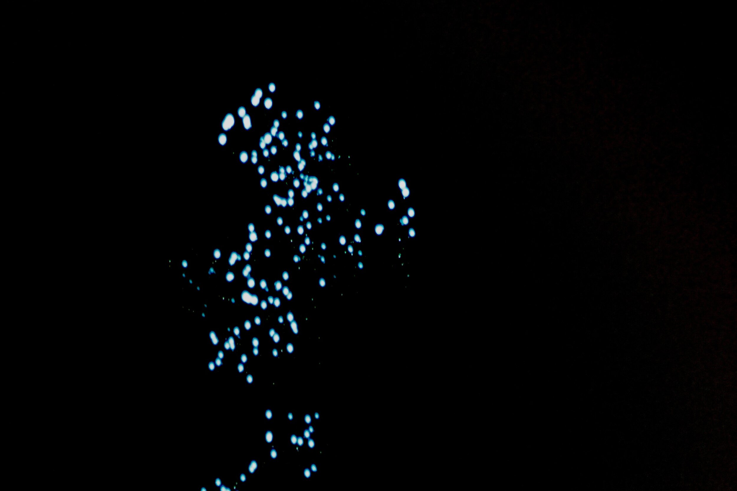 Kinetic Circles (image 2)