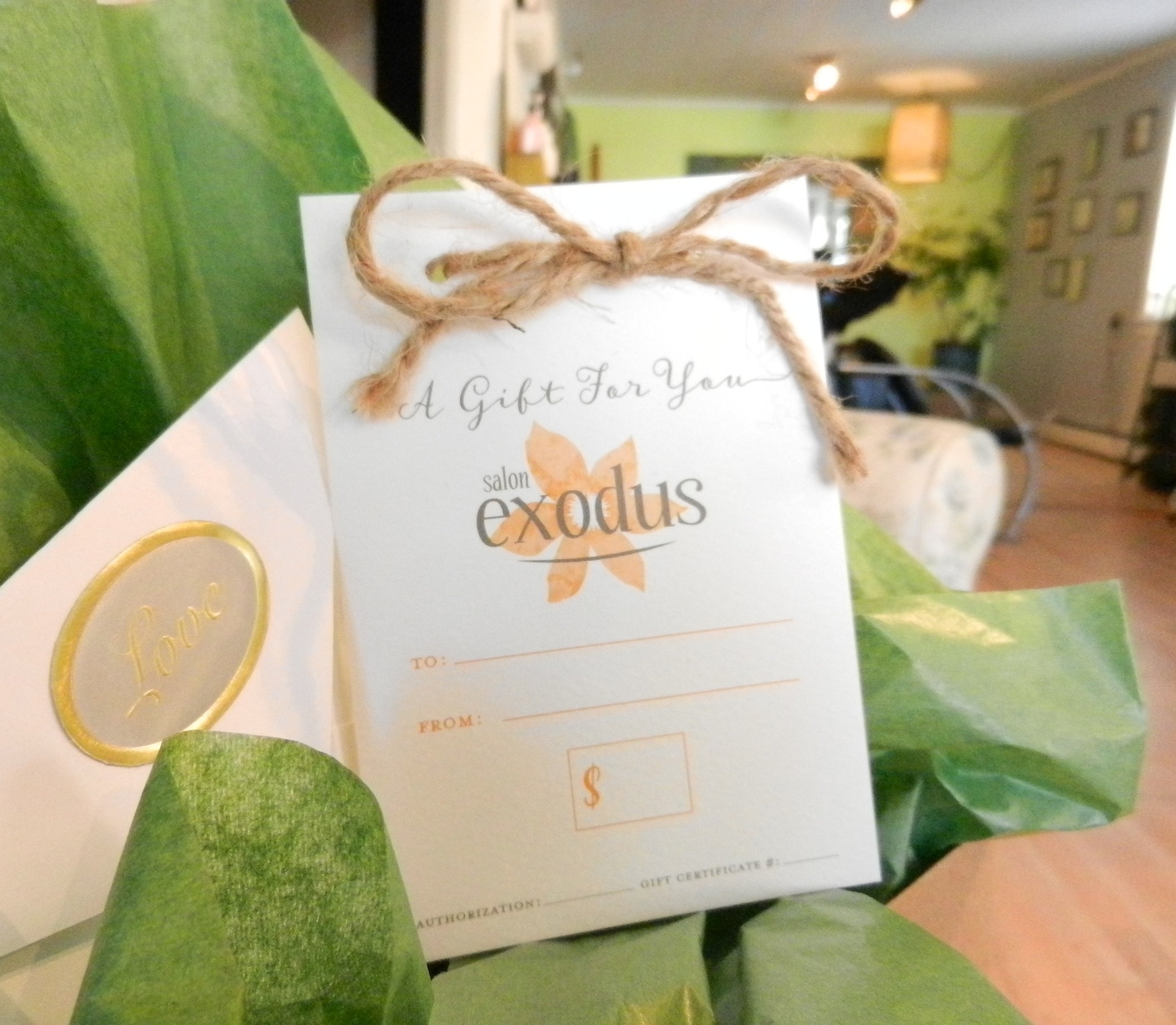 Think you know someone who would love to be pampered at Salon Exodus? Gift Certificates in any denomination are available!