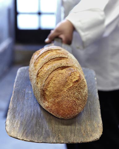 photos_breads_loaf_on_board.jpg
