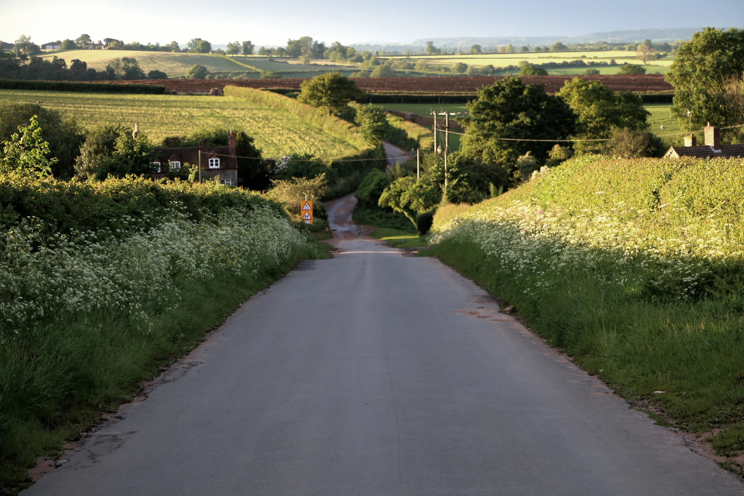 DPP_001780.jpg