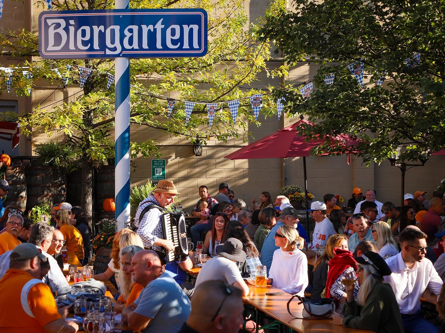 edit_mikegarten2.jpg