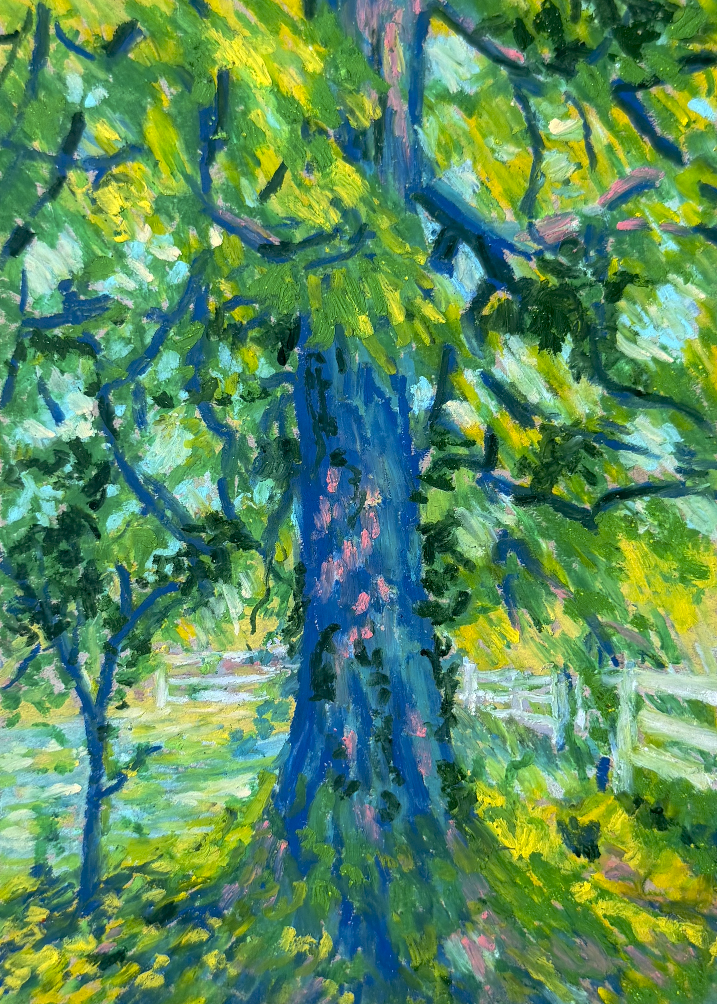 two_trees.png