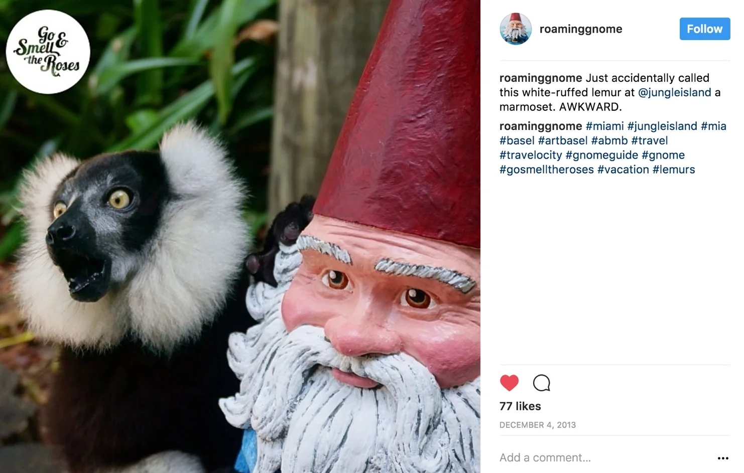 gnome-lemur.jpg
