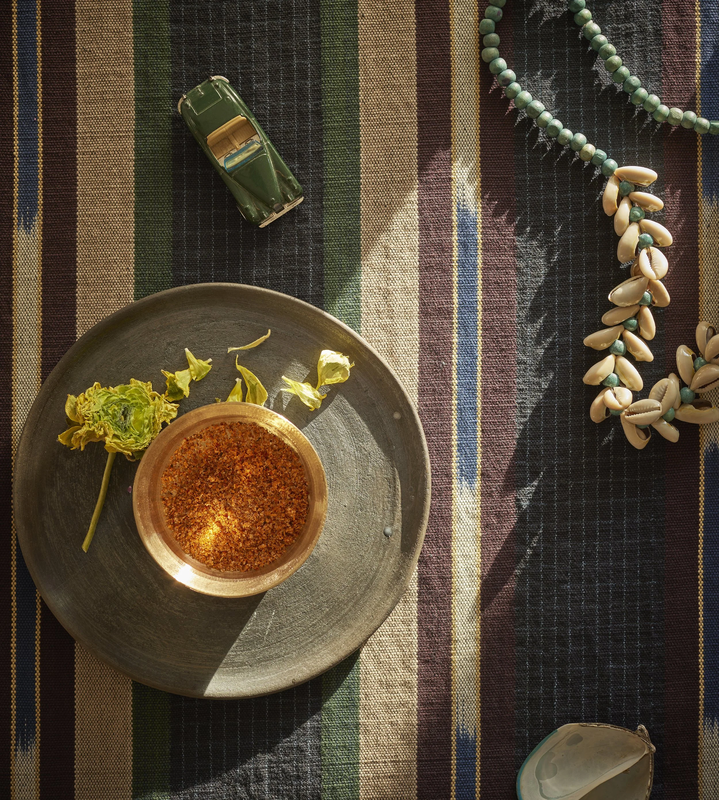 KC_Auden on desk in sun.jpg