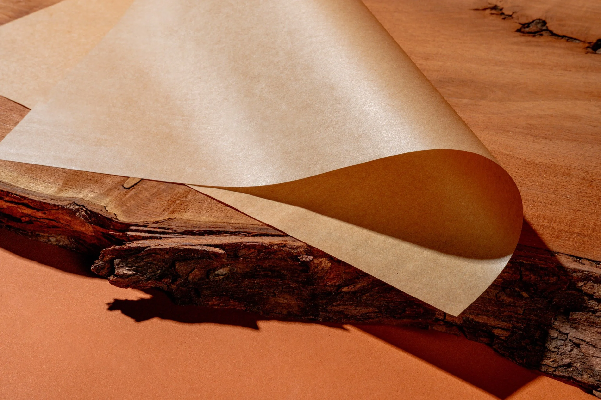 Curled kraft substrate on live-edge wood