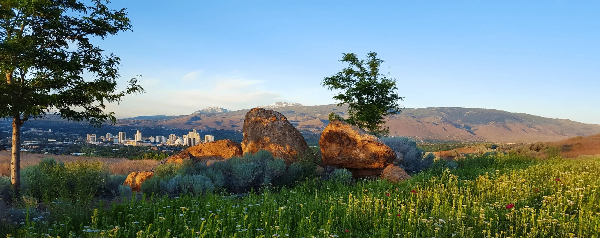 Reno+Skyline+Spring+Flowers+%281%29+%281%29.jpg