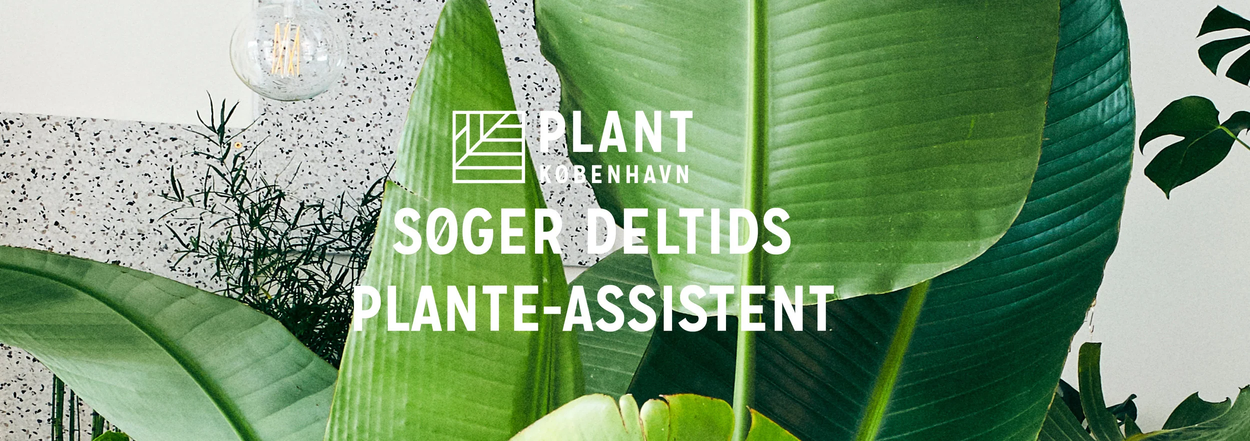 plant_assistent2019.jpg