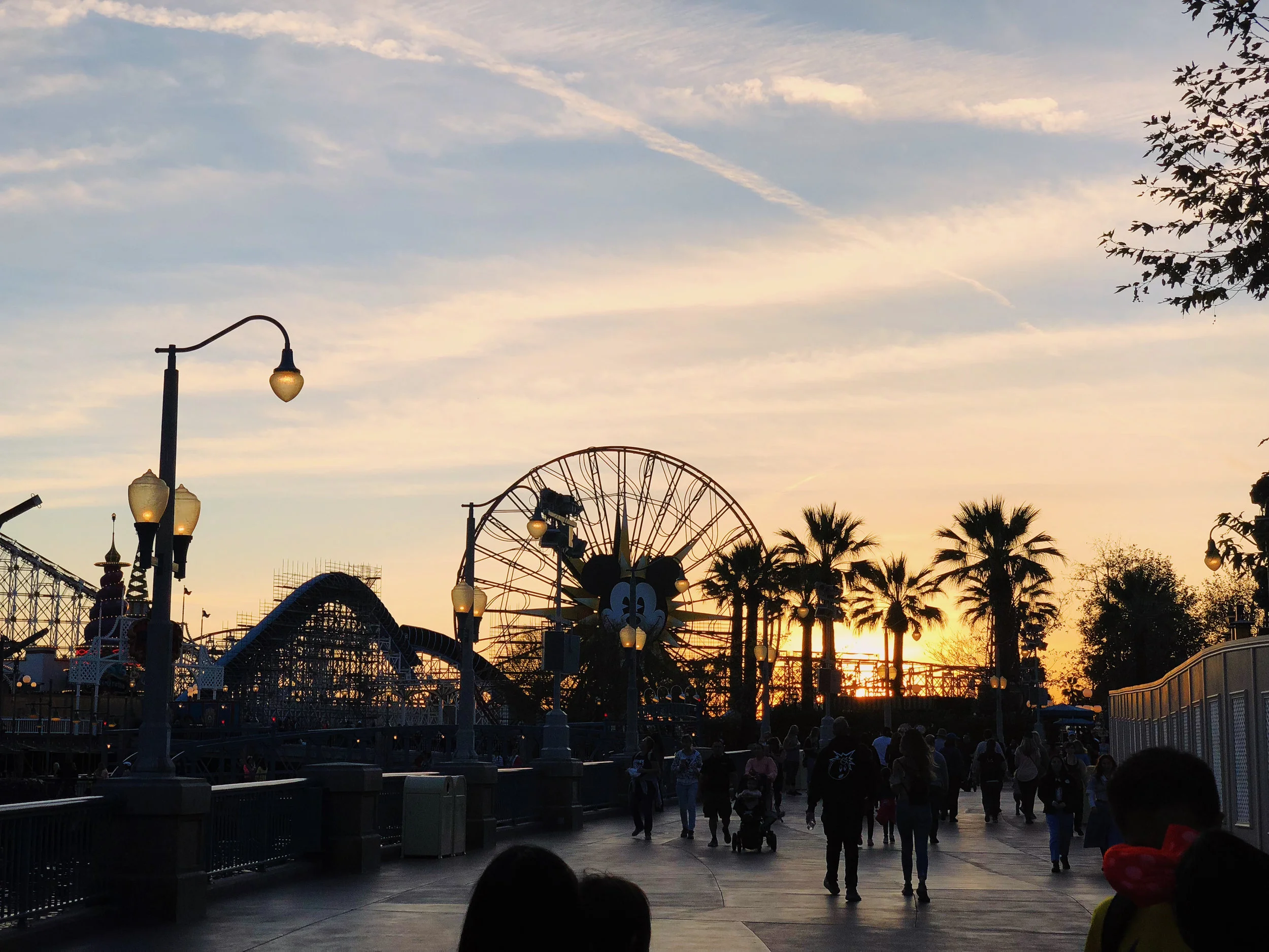 Cali-0.jpg