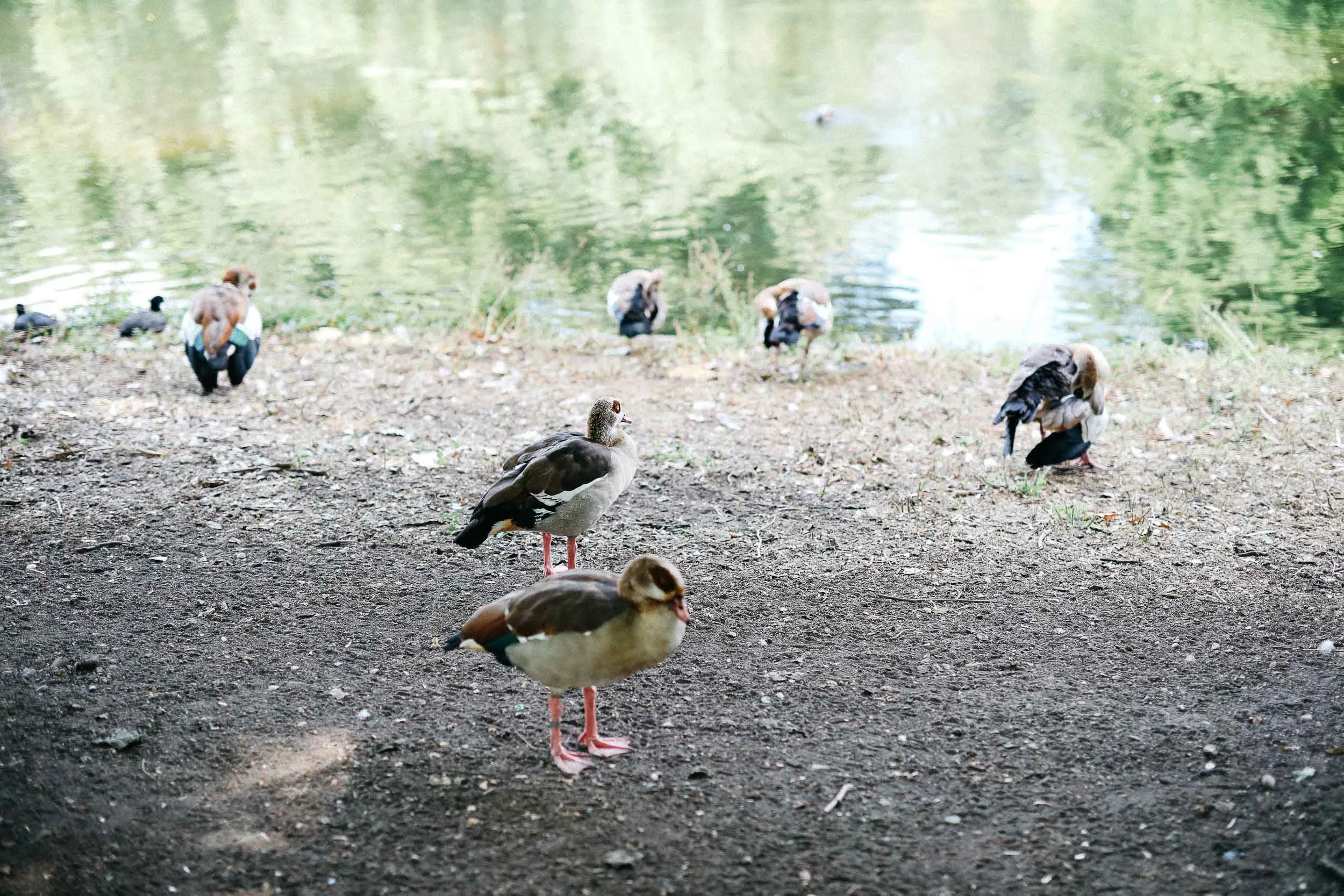 London-Web-2913.jpg